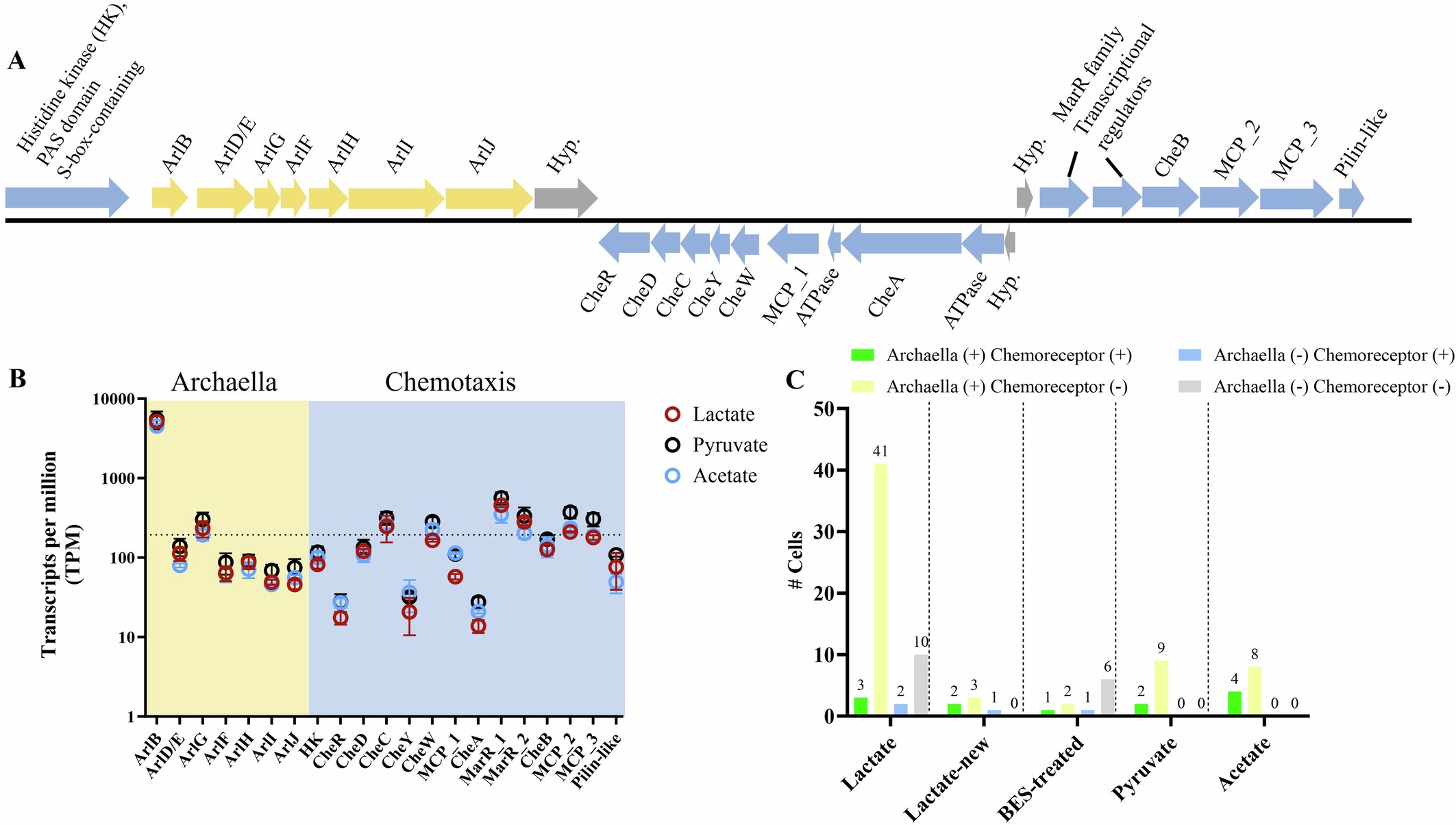Extended Data Fig. 6