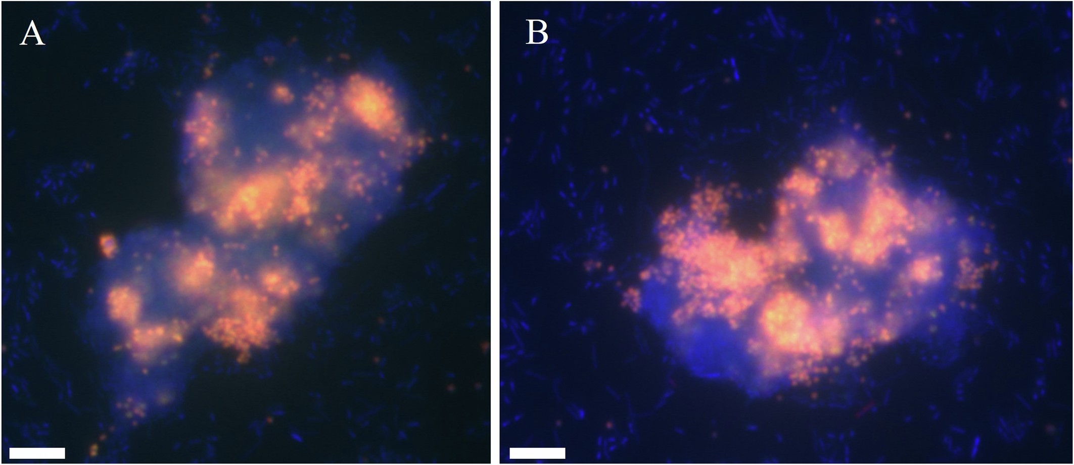 Extended Data Fig. 9