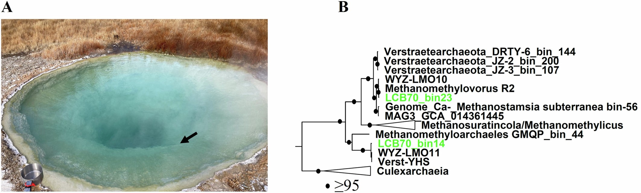 Extended Data Fig. 1