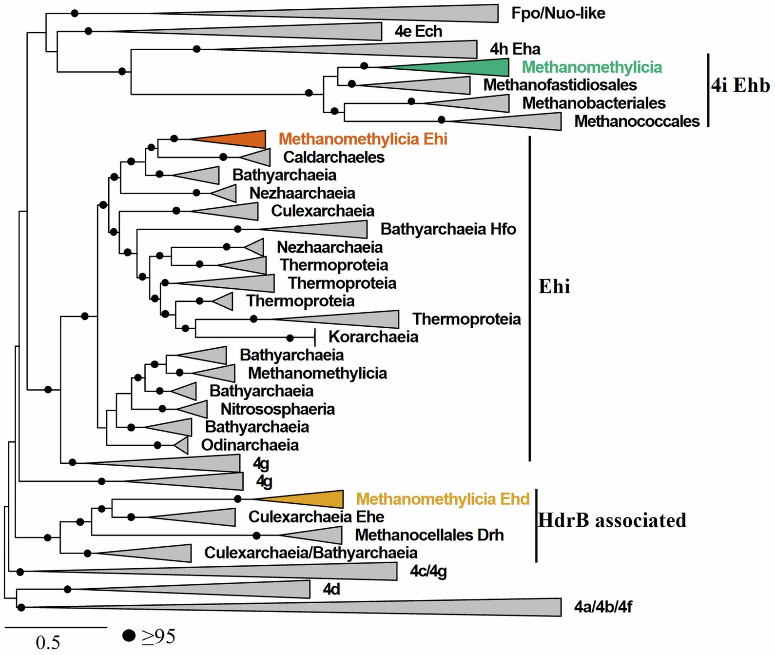 Extended Data Fig. 5