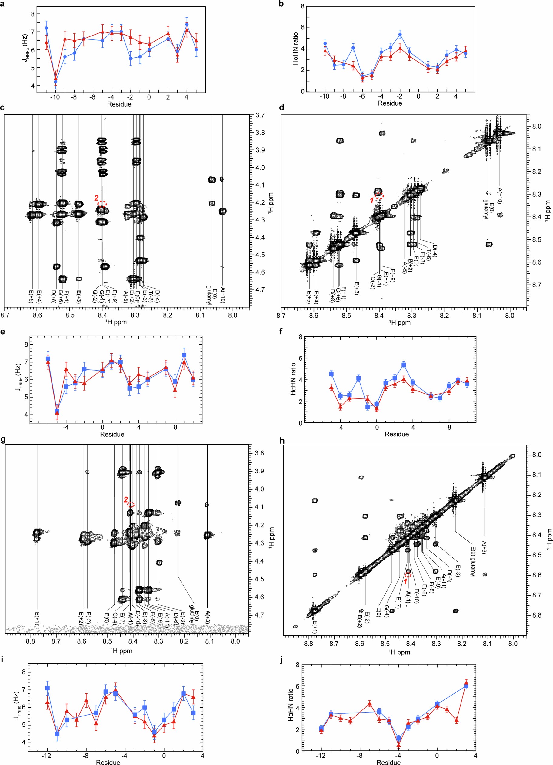 Extended Data Fig. 7: Conformation of unmodified and monoglutamylated β tubulin tail peptides in solution.