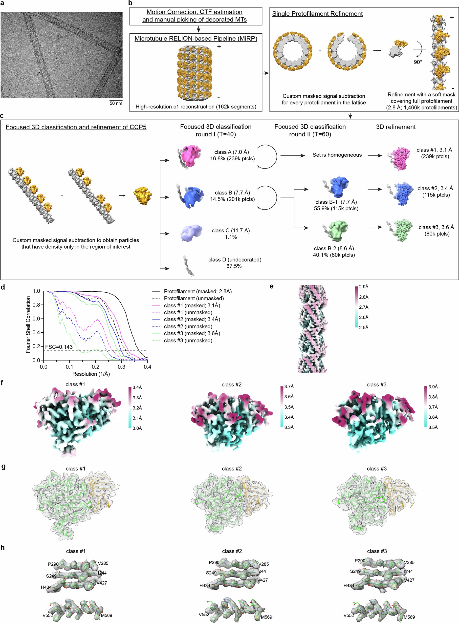 Extended Data Fig. 2