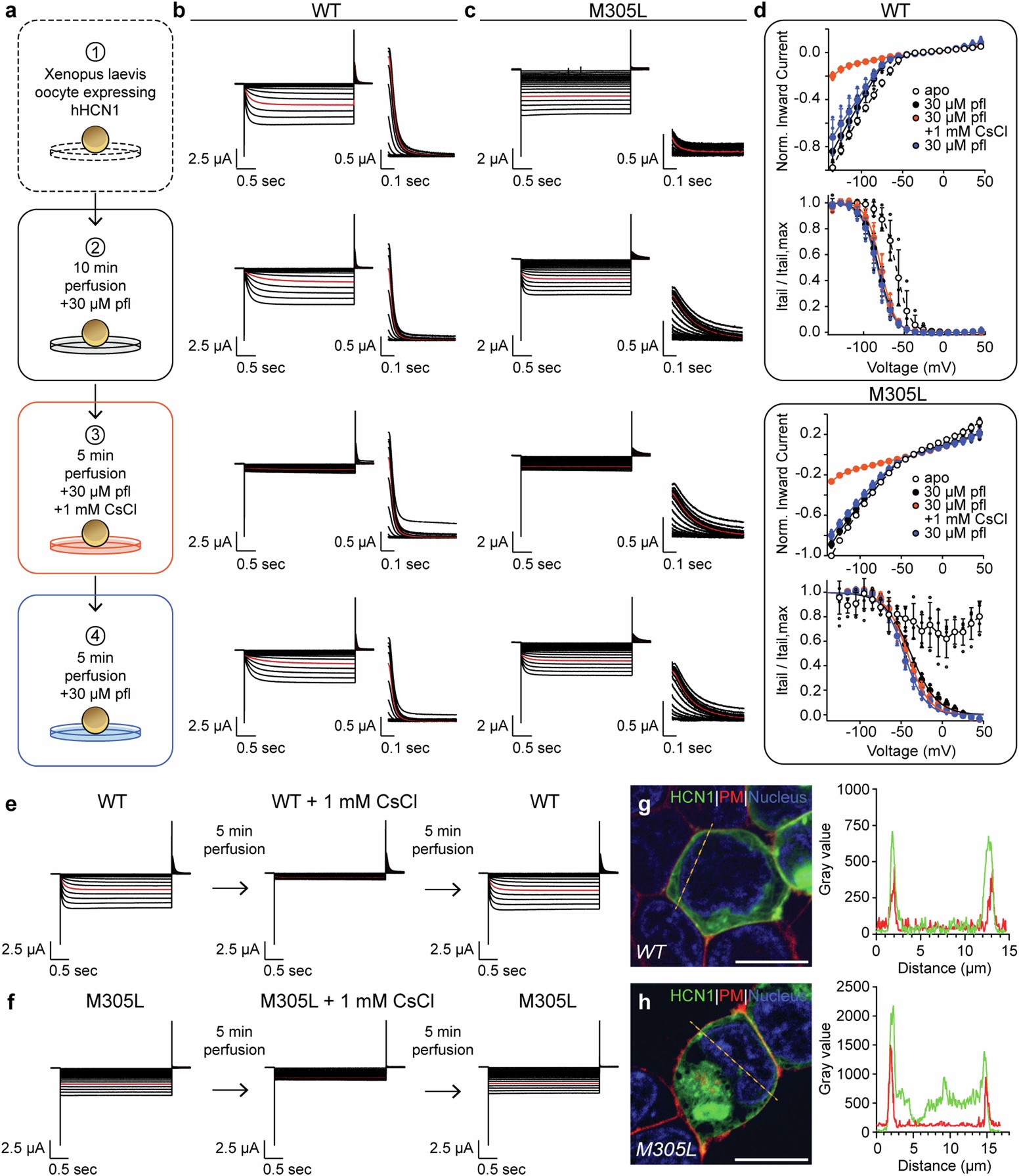 Extended Data Fig. 5