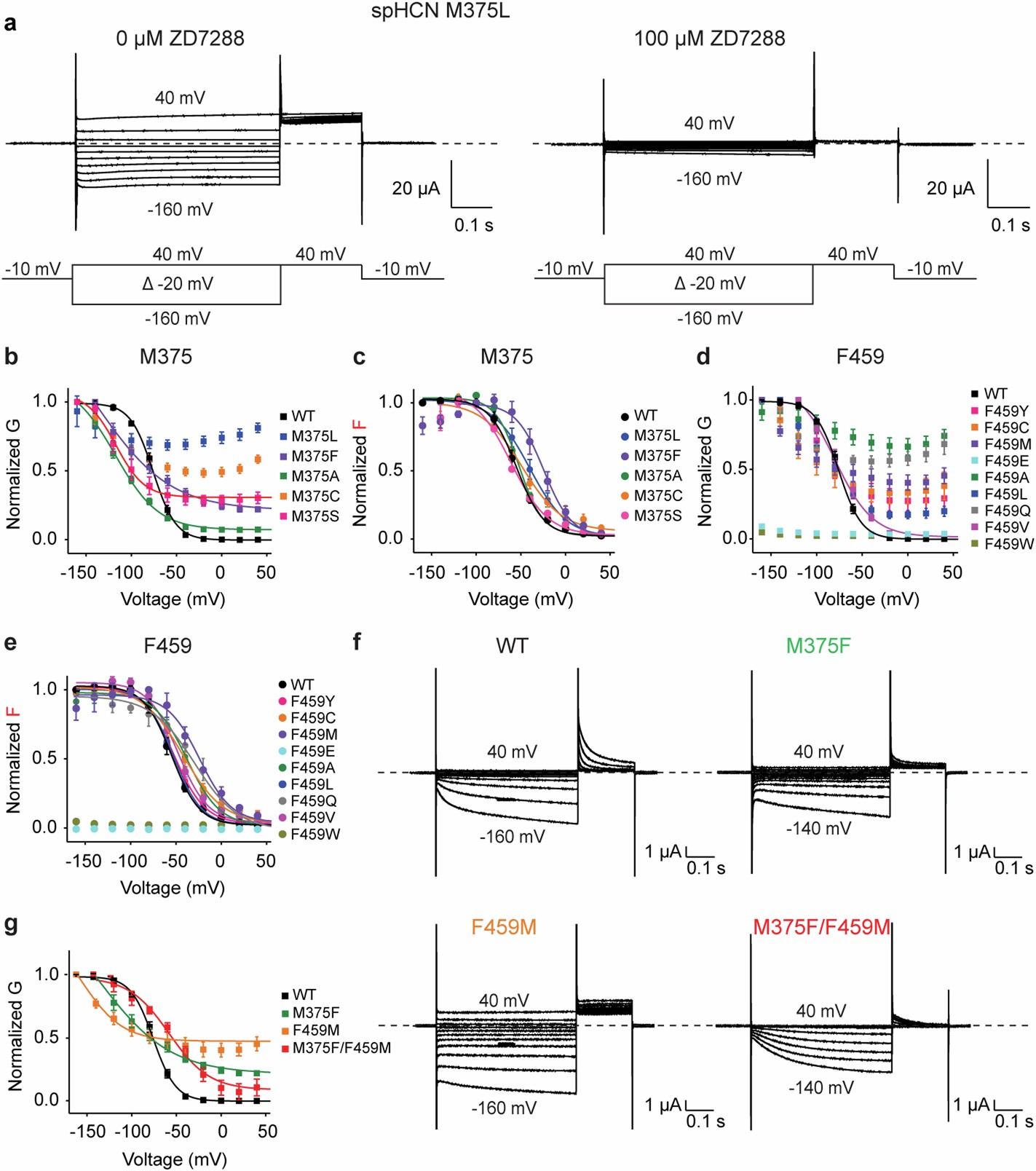 Extended Data Fig. 7