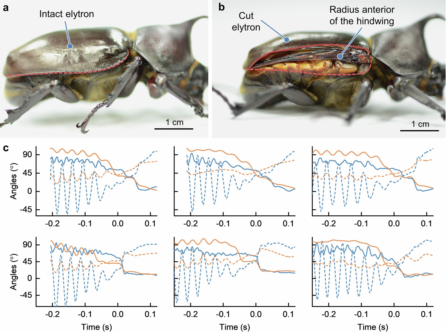 Extended Data Fig. 3