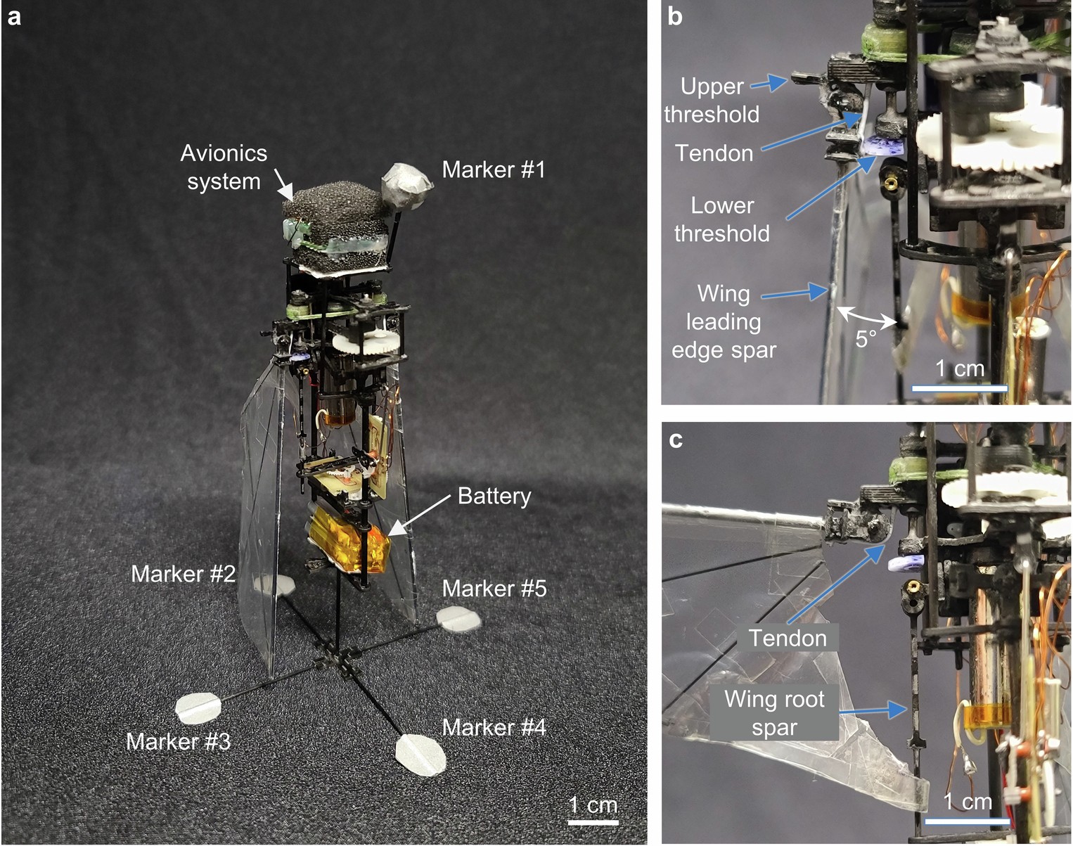 Extended Data Fig. 5