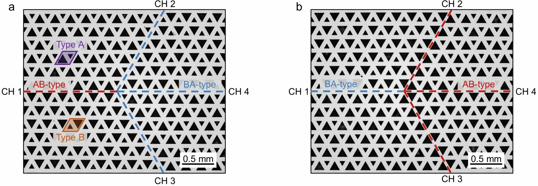 Extended Data Fig. 1: Topological power splitters.