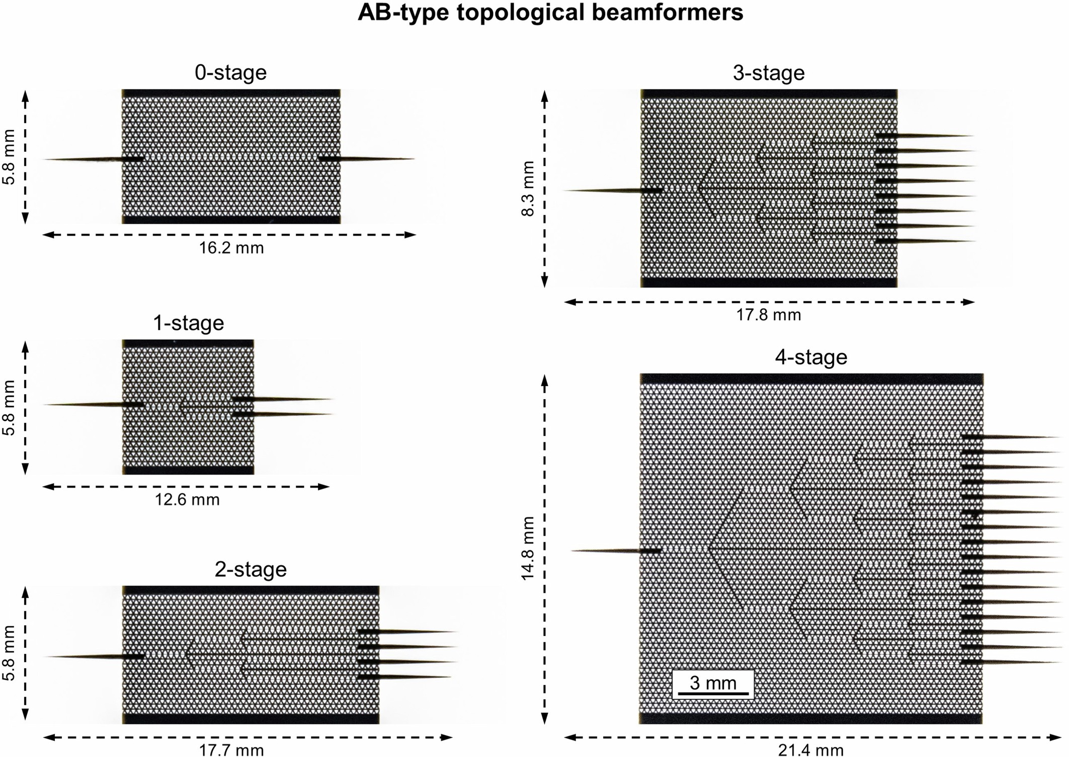 Extended Data Fig. 3: Optical images of AB-type topological beamformers.