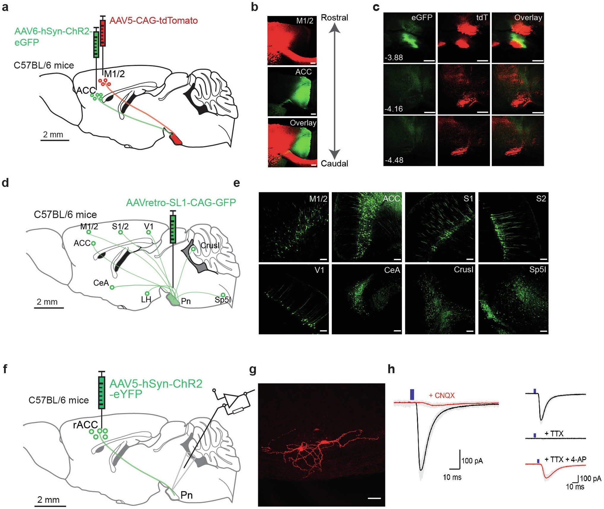 Extended Data Fig. 2