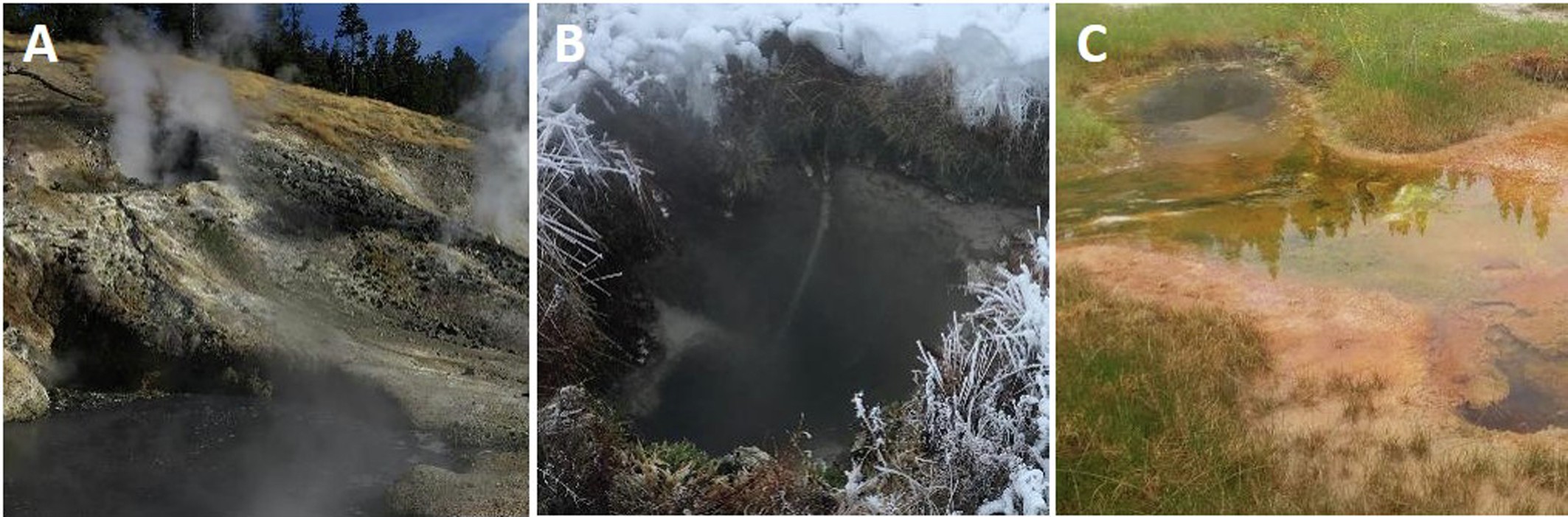 Extended Data Fig. 1