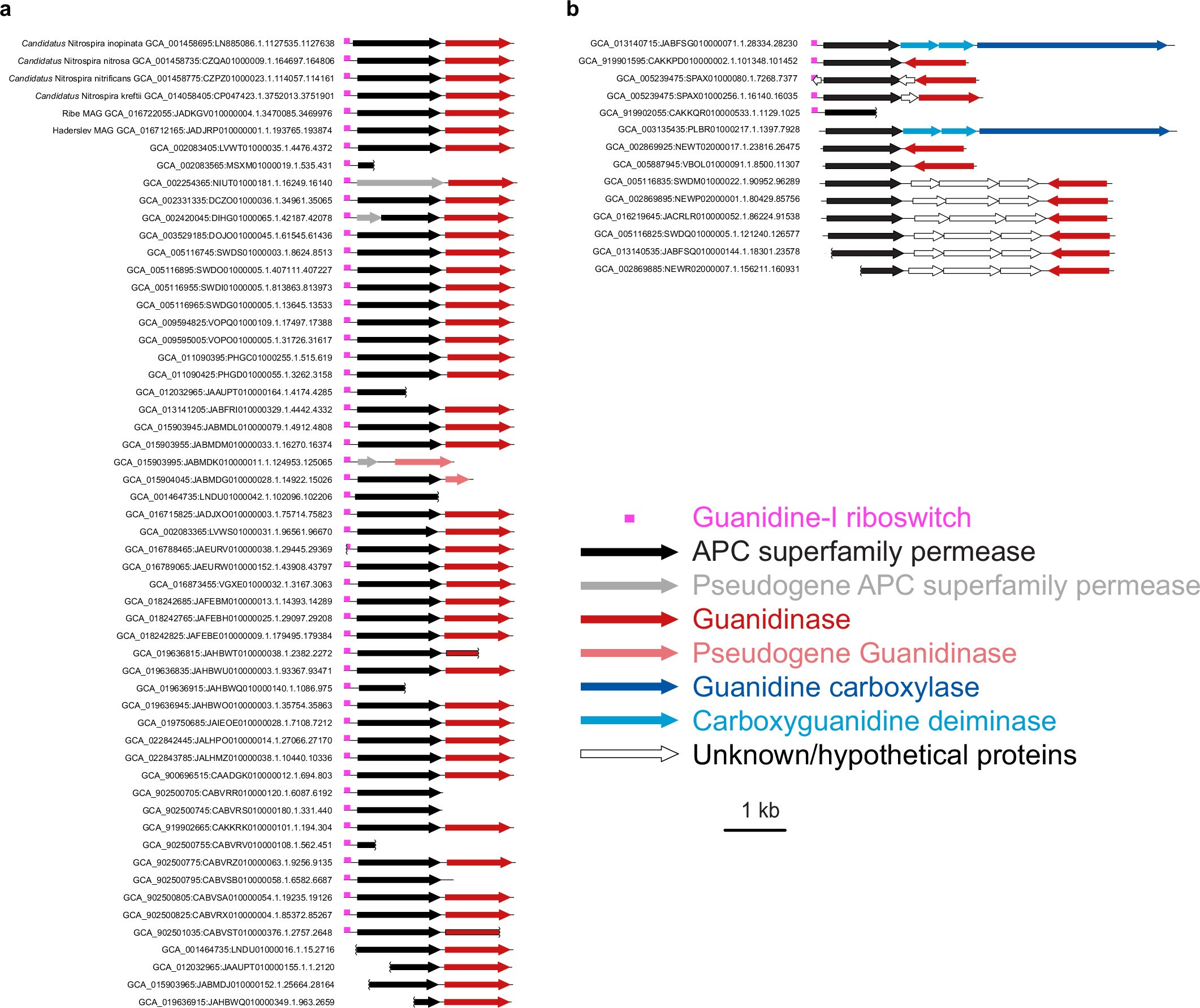 Extended Data Fig. 1