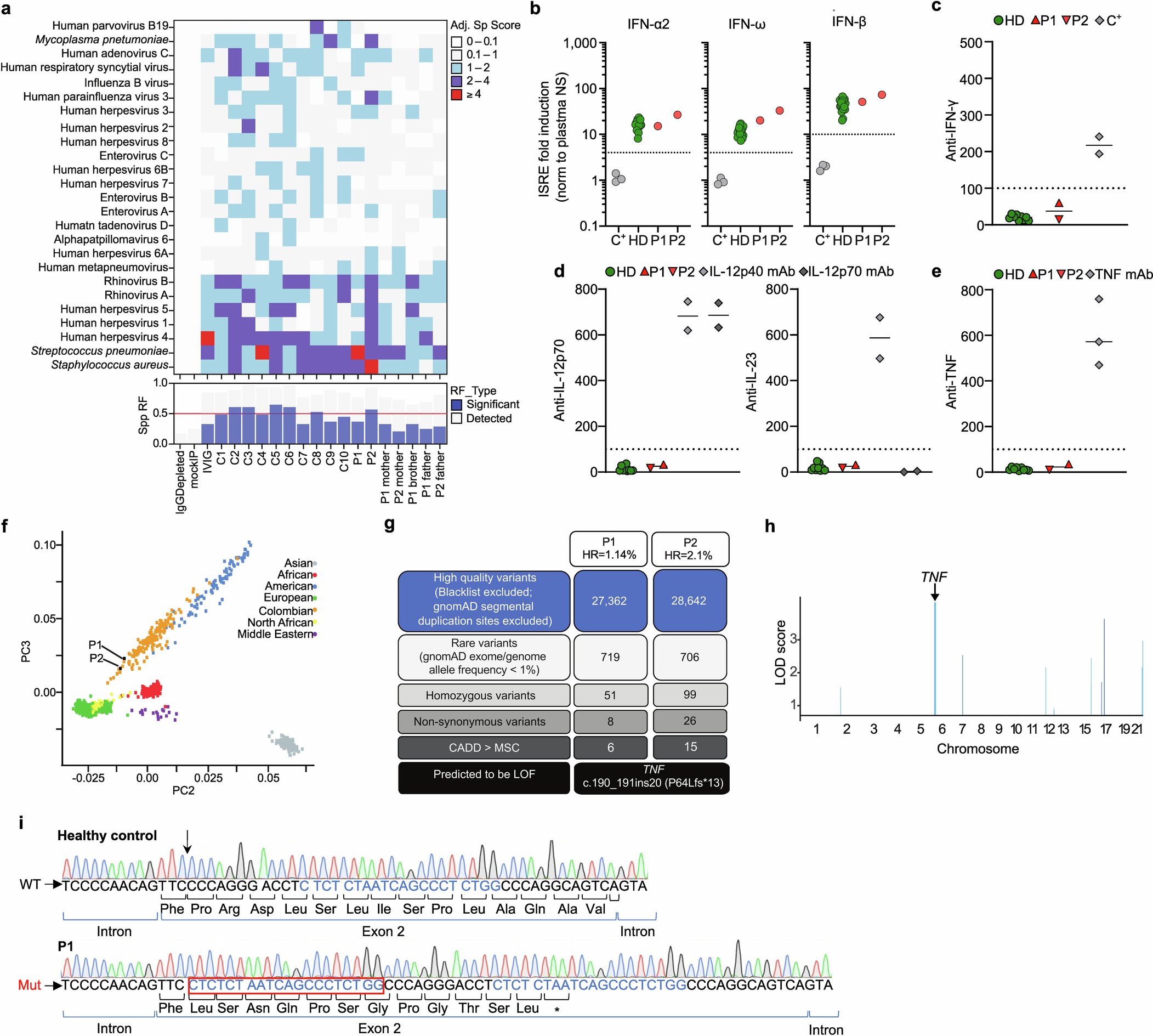 Extended Data Fig. 1: Immunological and genetic features of human TNF deficiency.