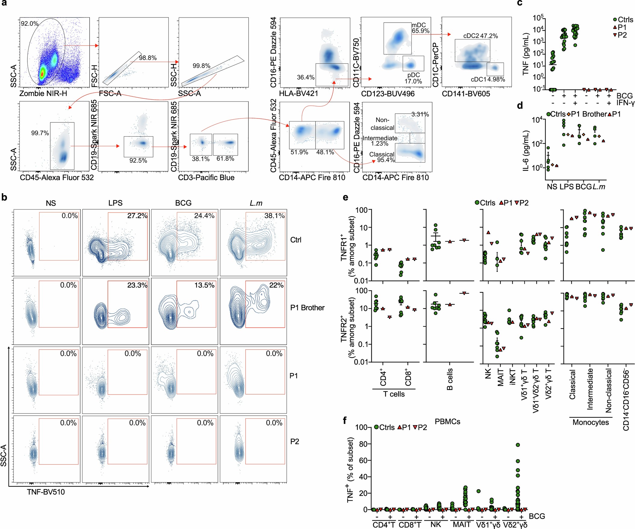 Extended Data Fig. 3: TNF production by the patients’ primary cells.