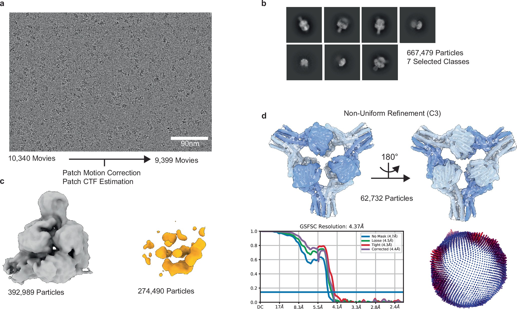 Extended Data Fig. 6