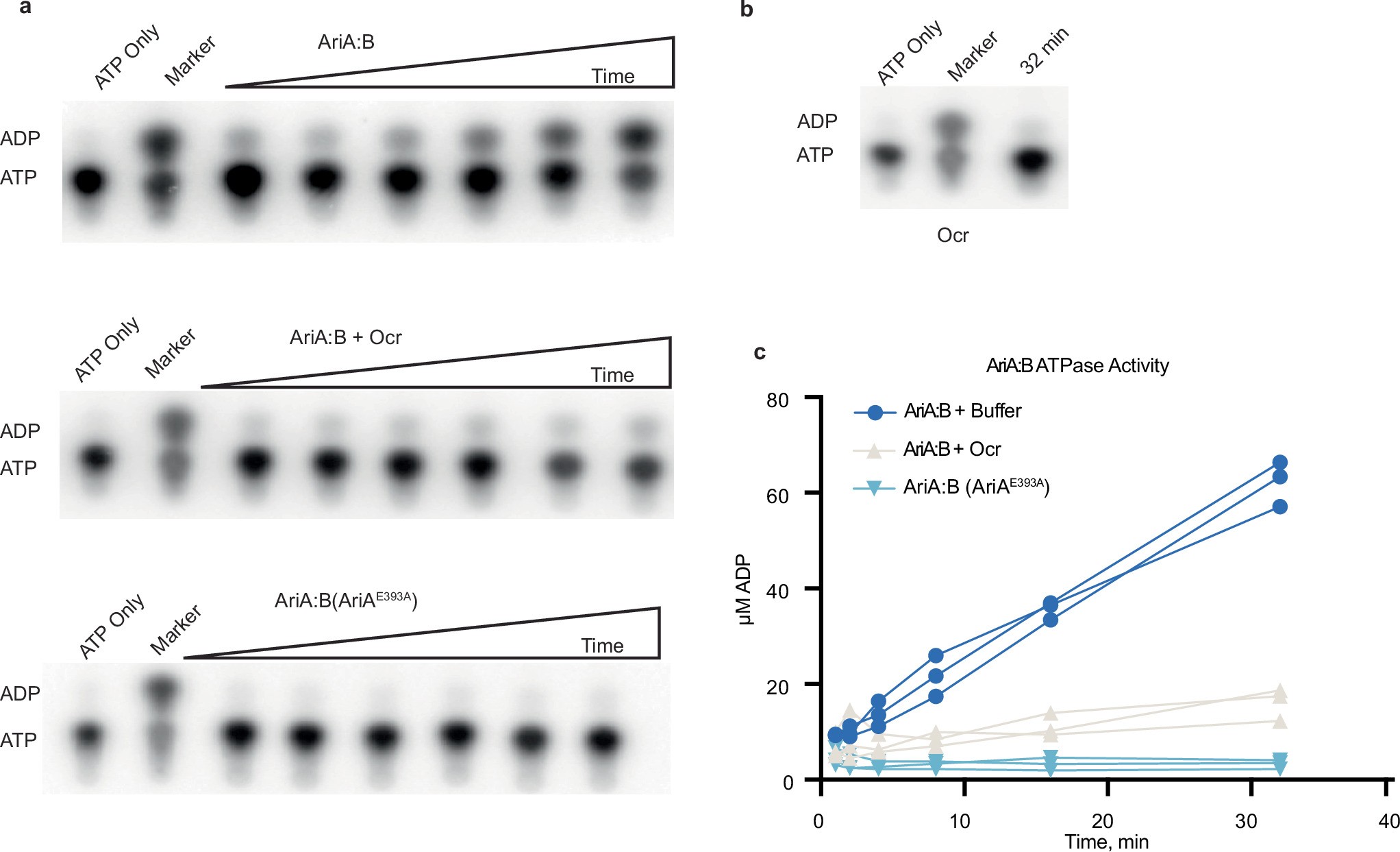 Extended Data Fig. 7