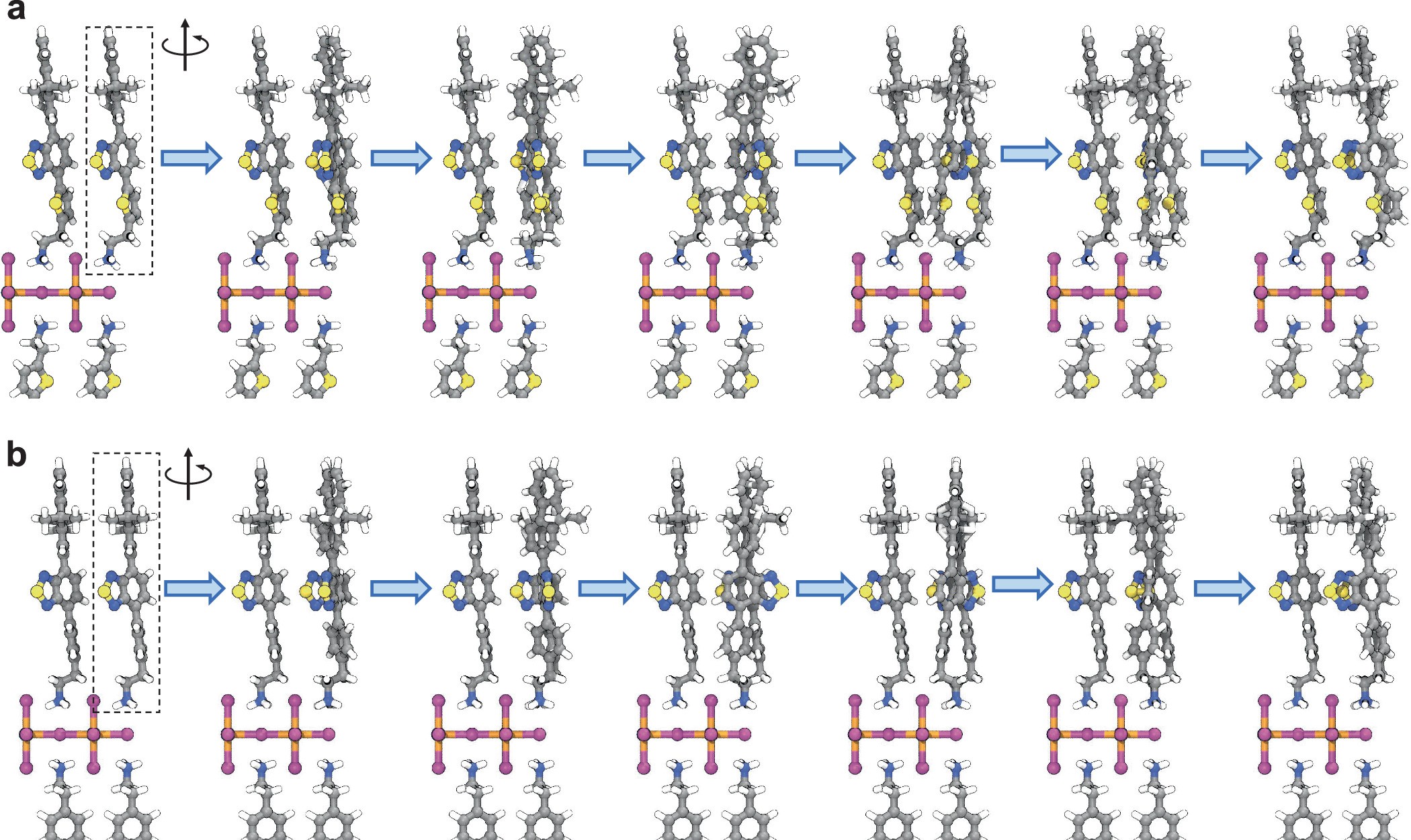 Extended Data Fig. 6: Schematic illustration of MD simulations on organic molecules rotation in the perovskite lattice.