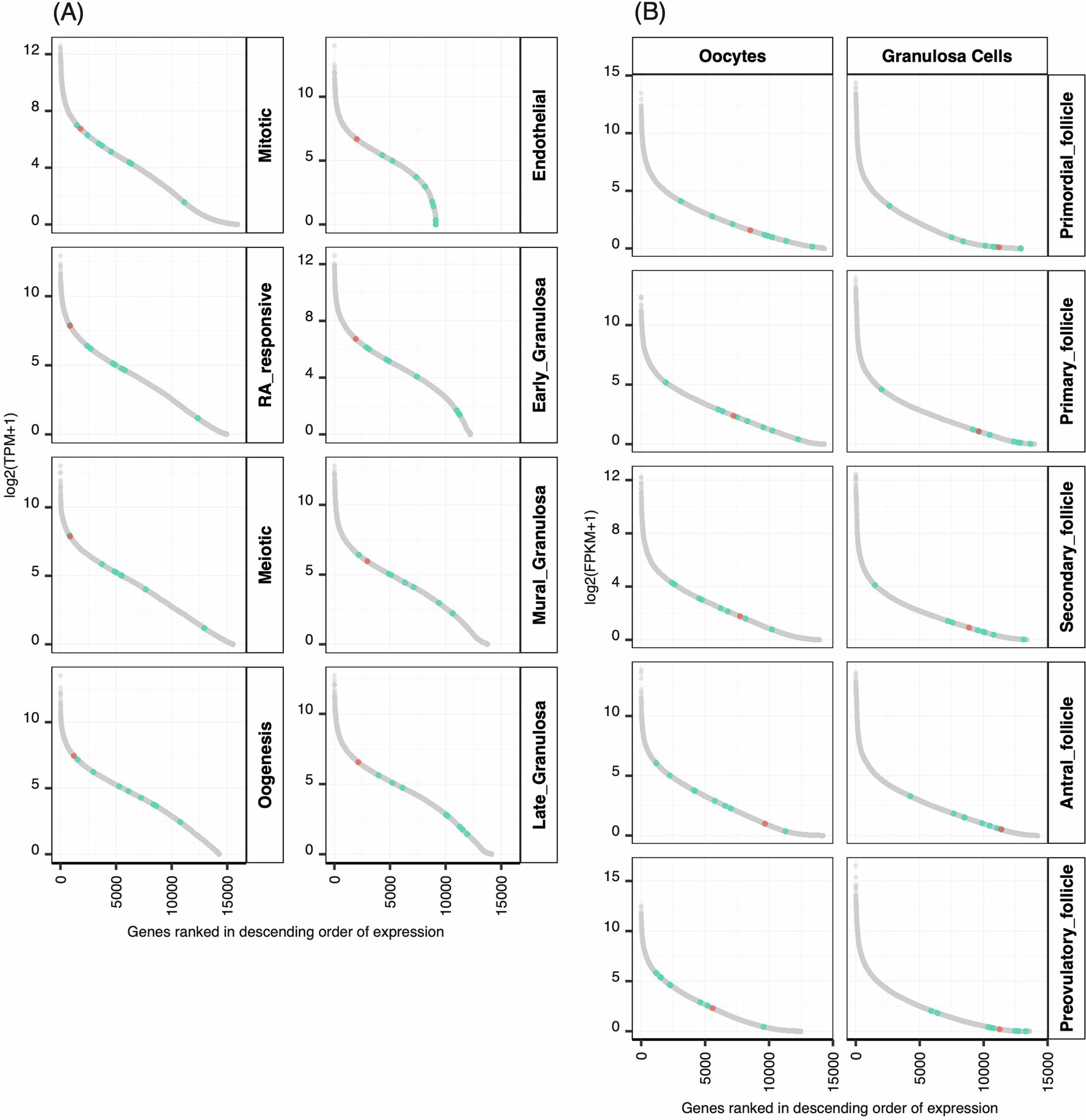 Extended Data Fig. 6: Expression levels of genes across various stages of female germ cell development.