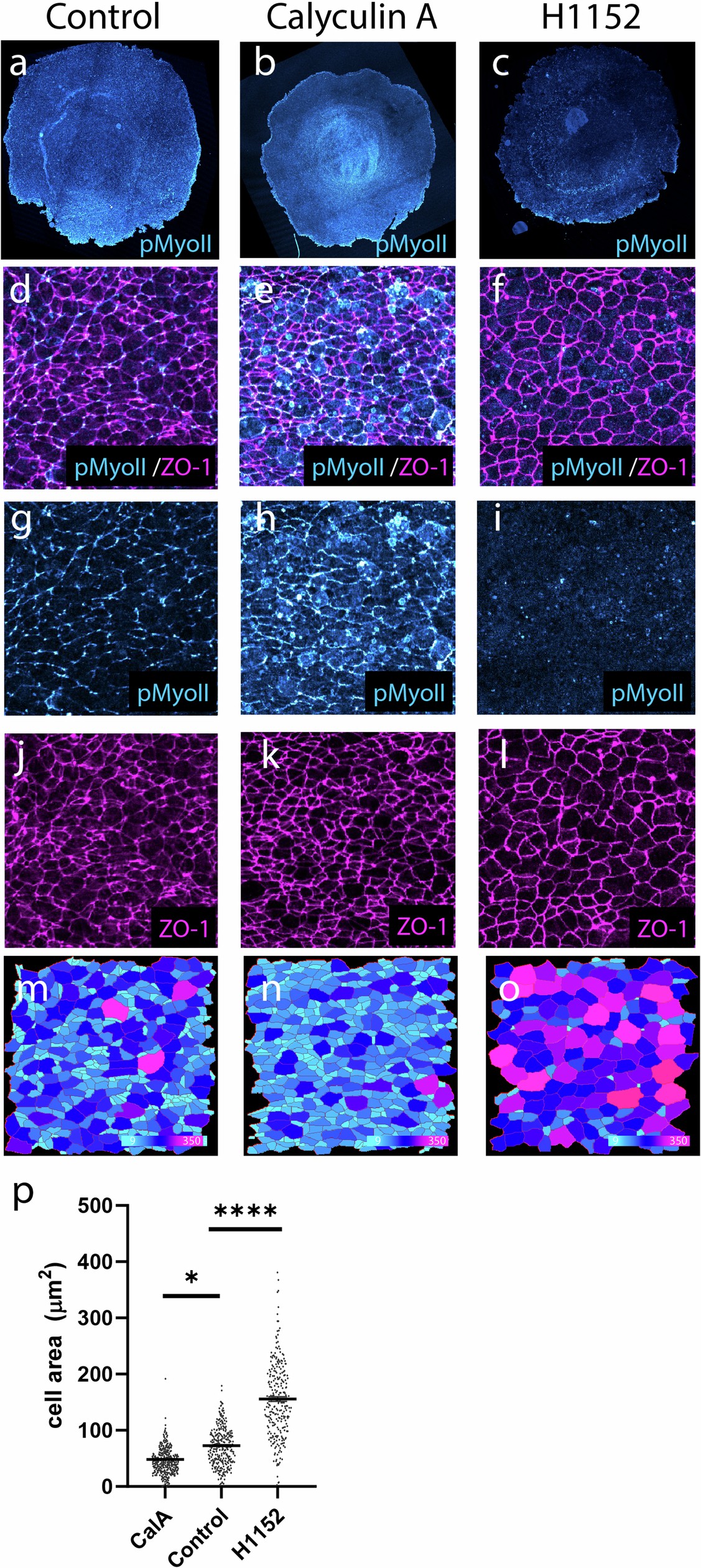 Extended Data Fig. 2