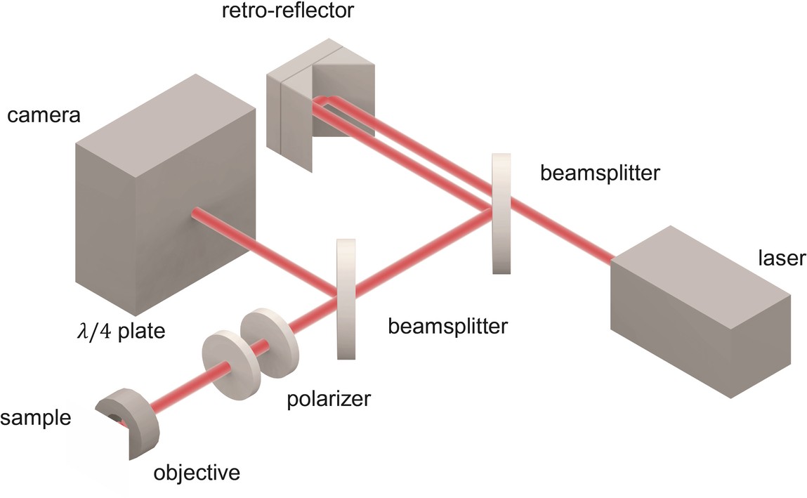 Extended Data Fig. 2