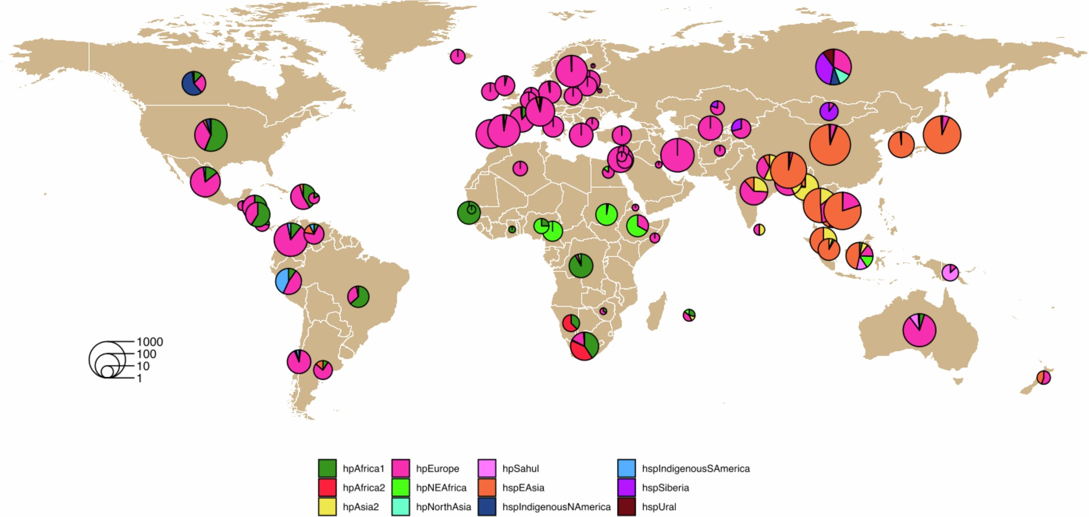 Extended Data Fig. 1: Origin of the different strains of our global dataset.
