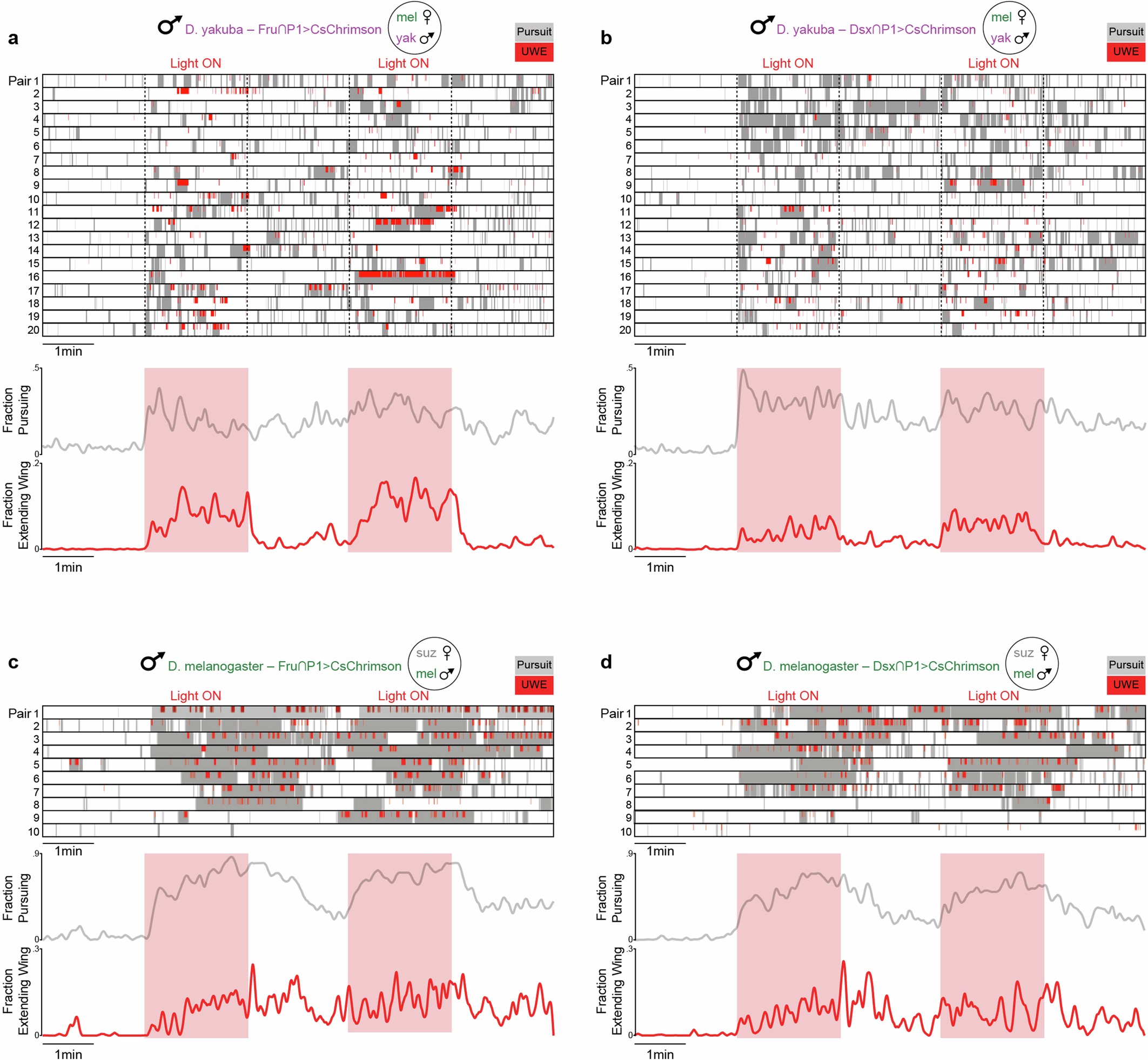 Extended Data Fig. 7: Activation of P1 subtypes.