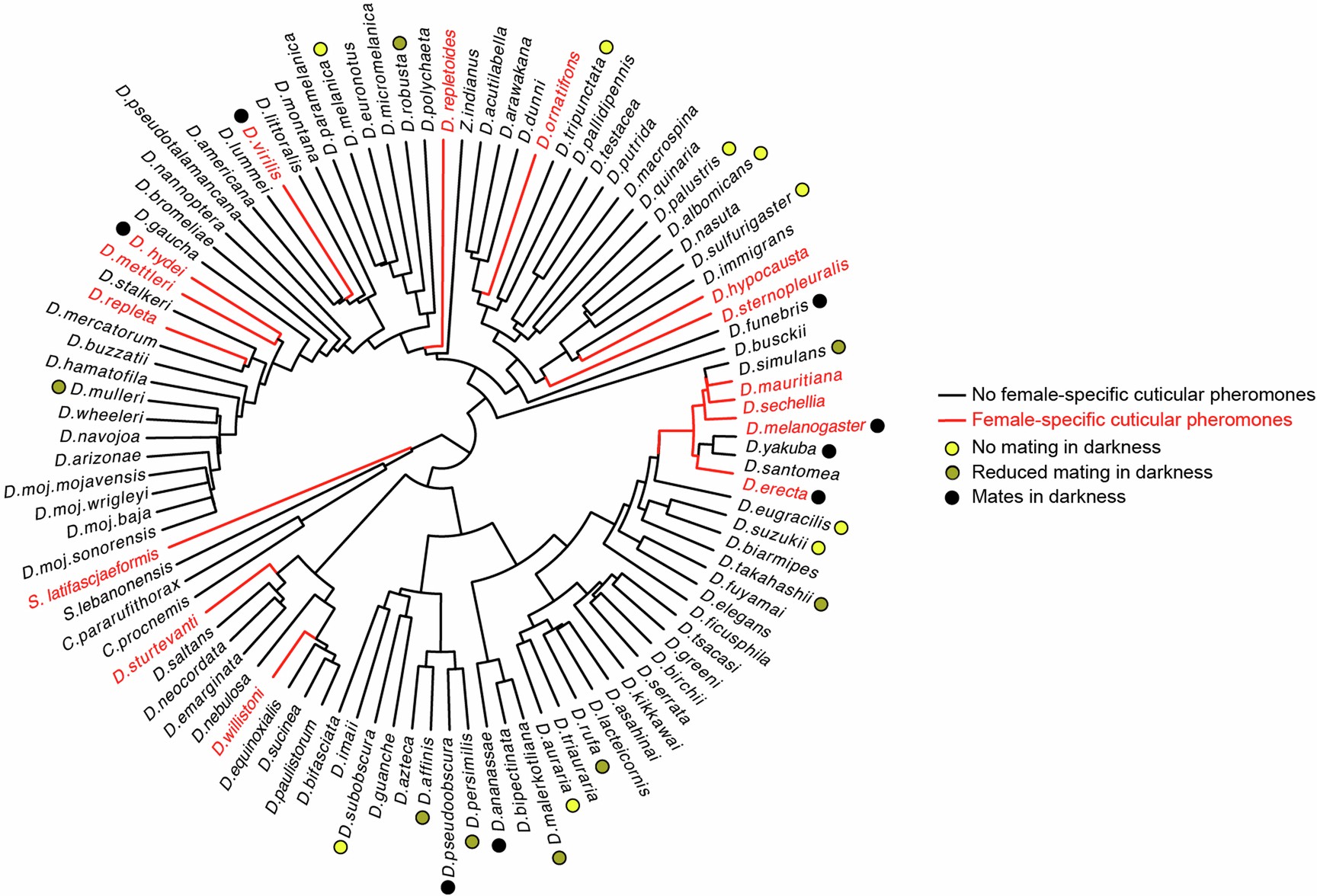 Extended Data Fig. 9: Mating in the dark has arisen repeatedly in monomorphic species.
