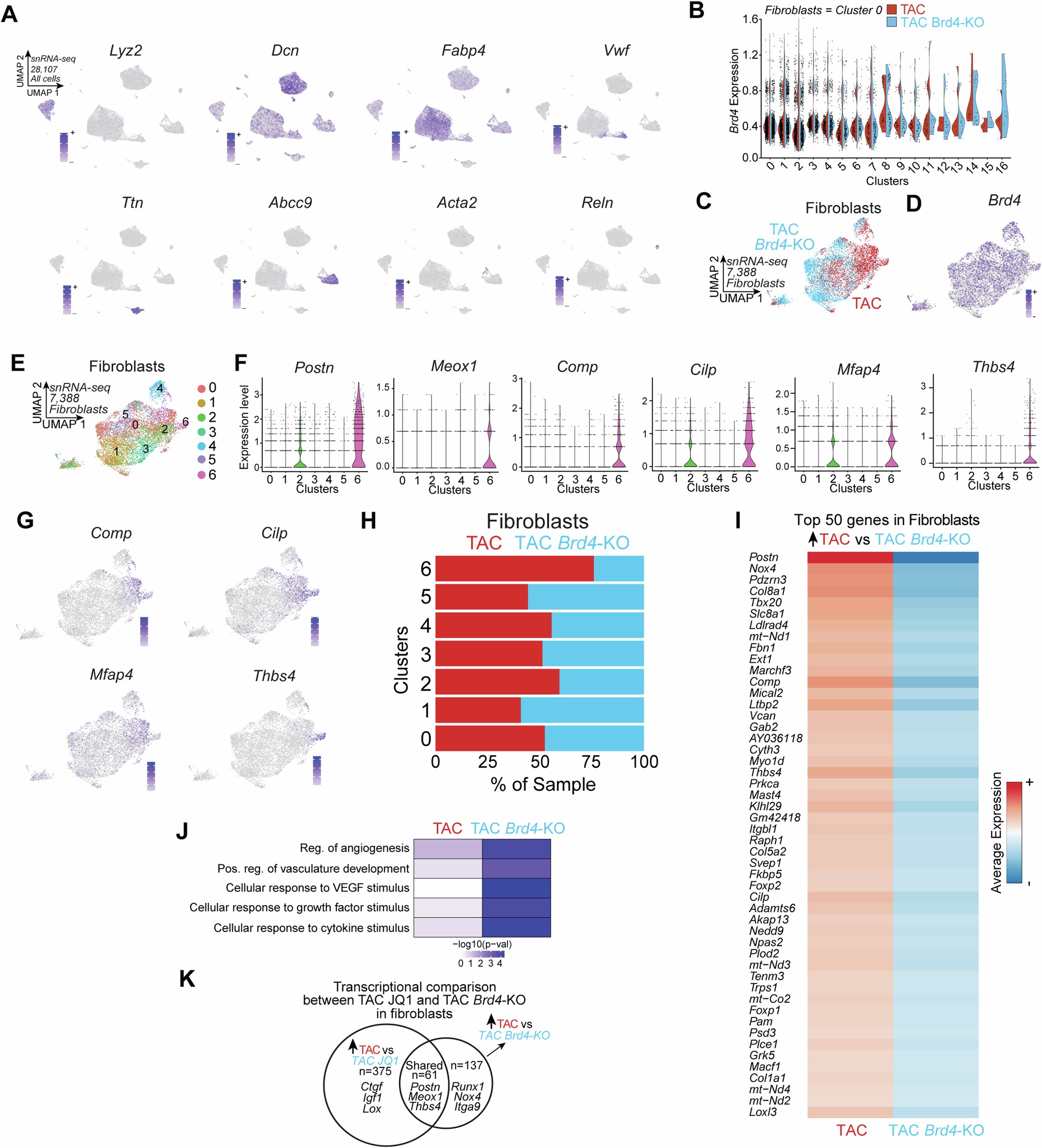 Extended Data Fig. 3: Decreased profibrotic signature in fibroblasts with Brd4 deletion in Cx3cr1-expressing monocytes/macrophages.