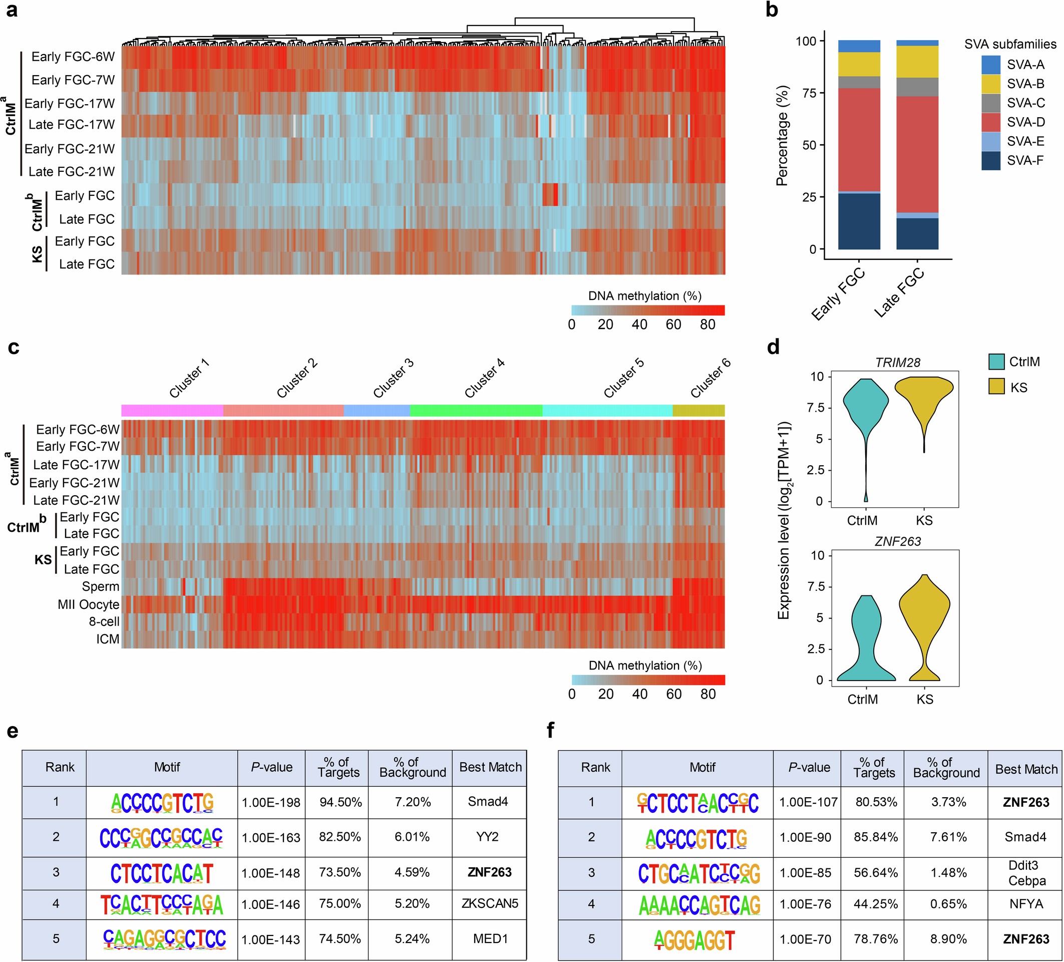 Extended Data Fig. 7: Characteristics of demethylation-escape SVAs identified in KS FGCs.