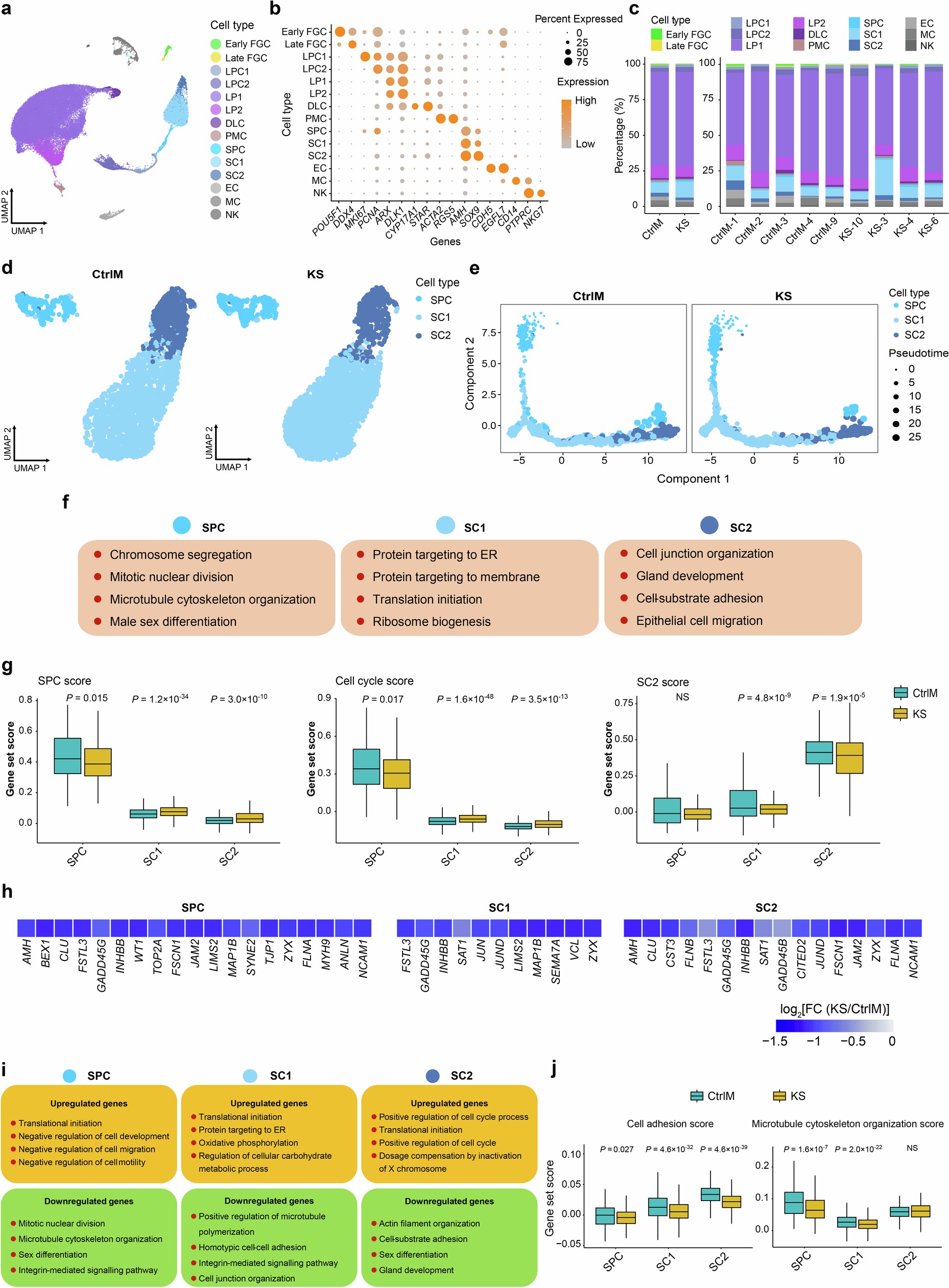 Extended Data Fig. 8: Transcriptional and developmental characteristics of gonadal somatic cells revealed by 10× Genomics scRNA-seq.