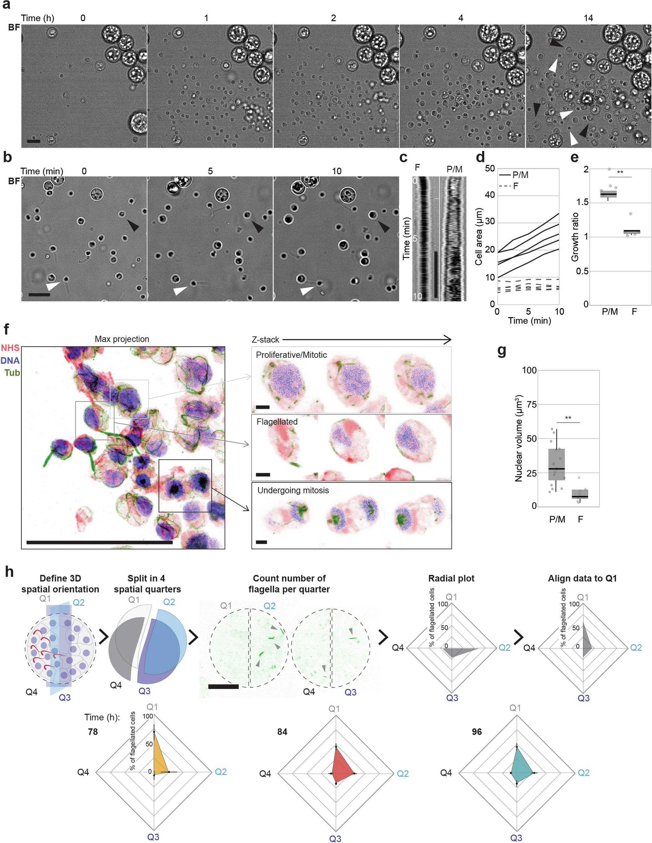 Extended Data Fig. 4