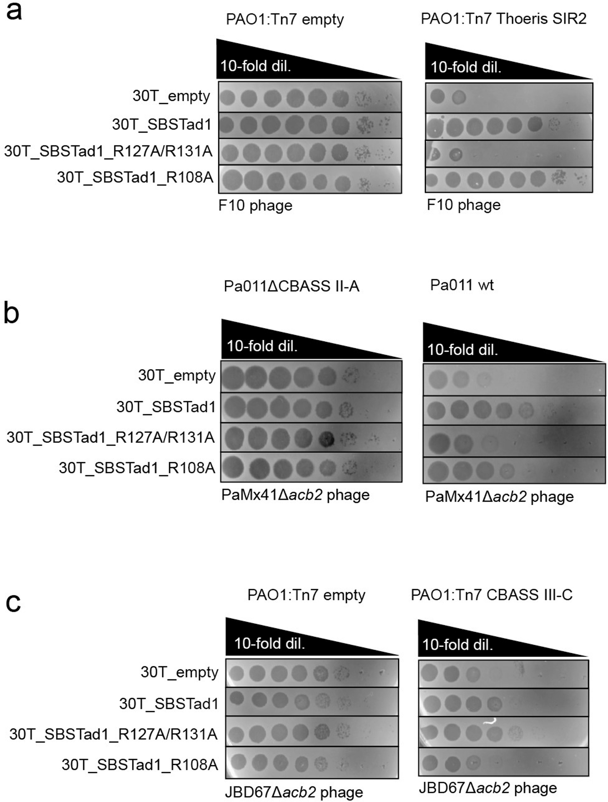 Extended Data Fig. 5