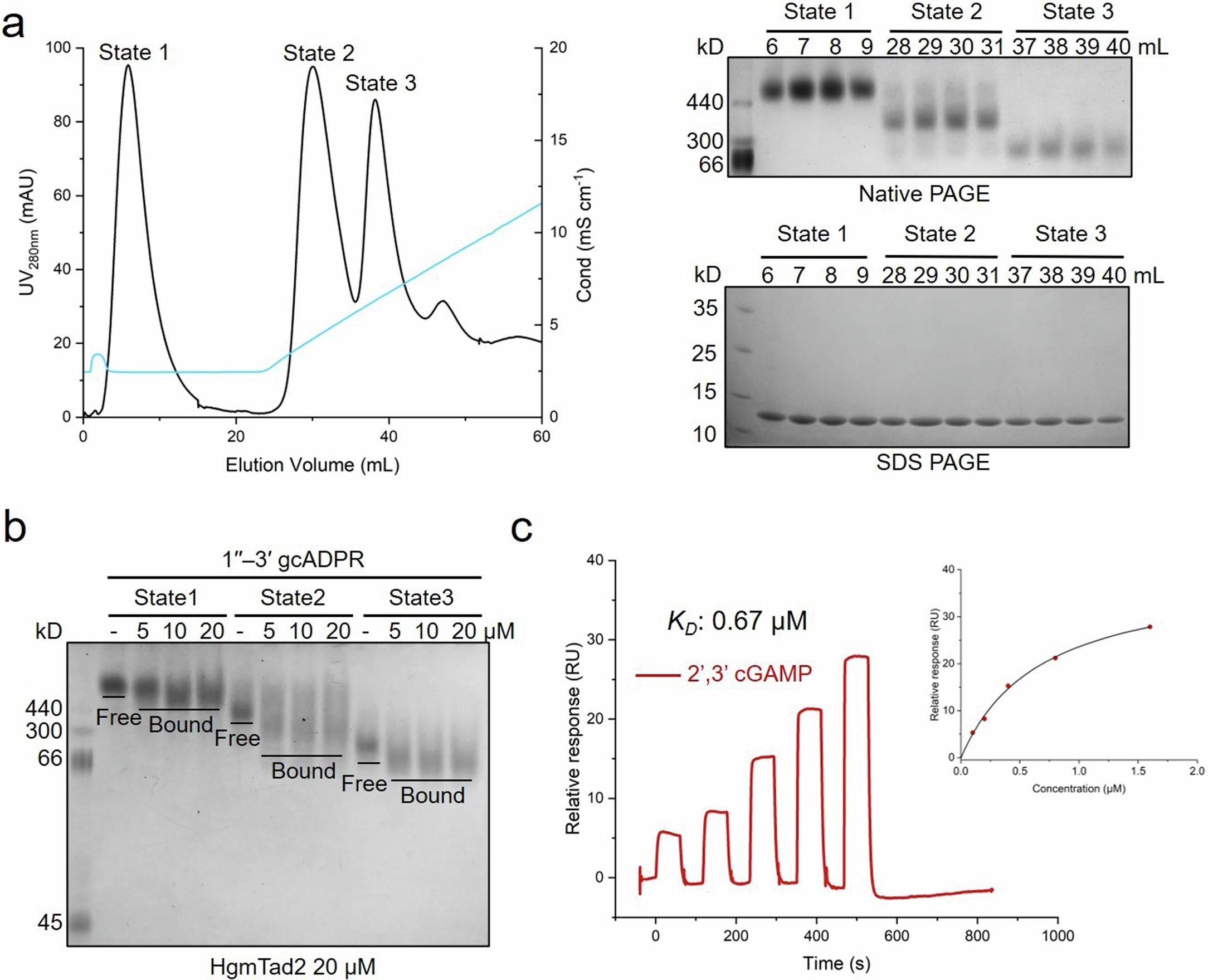 Extended Data Fig. 8