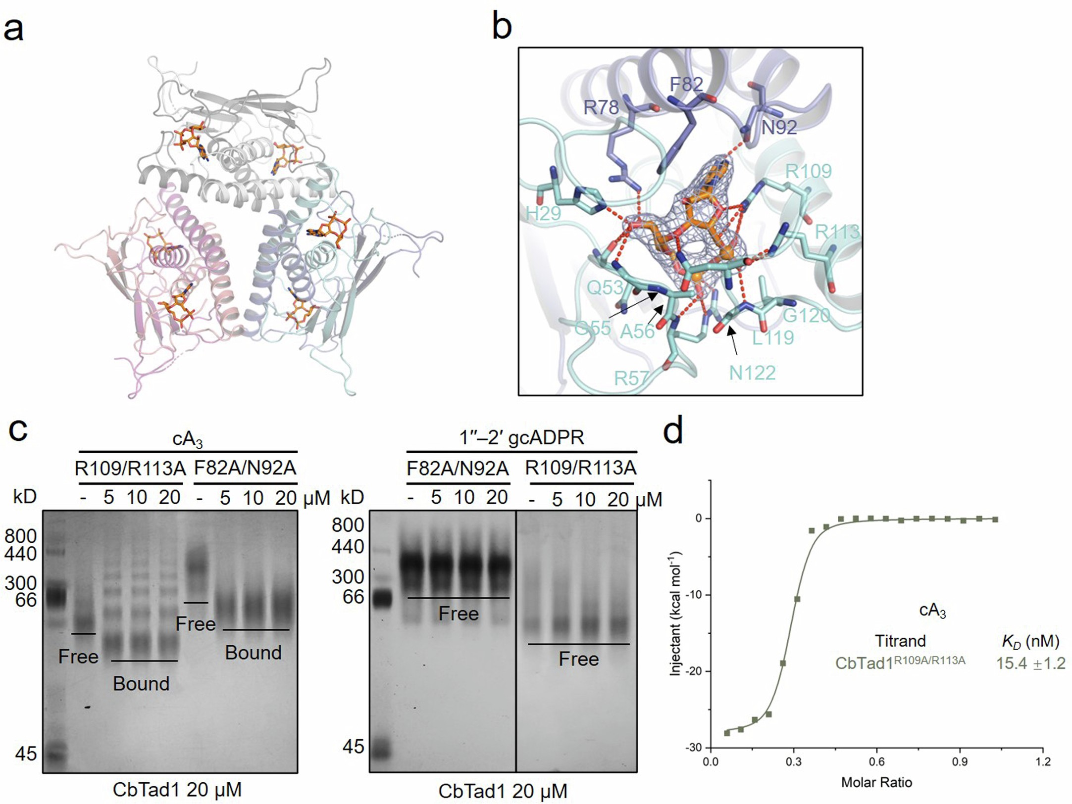 Extended Data Fig. 4