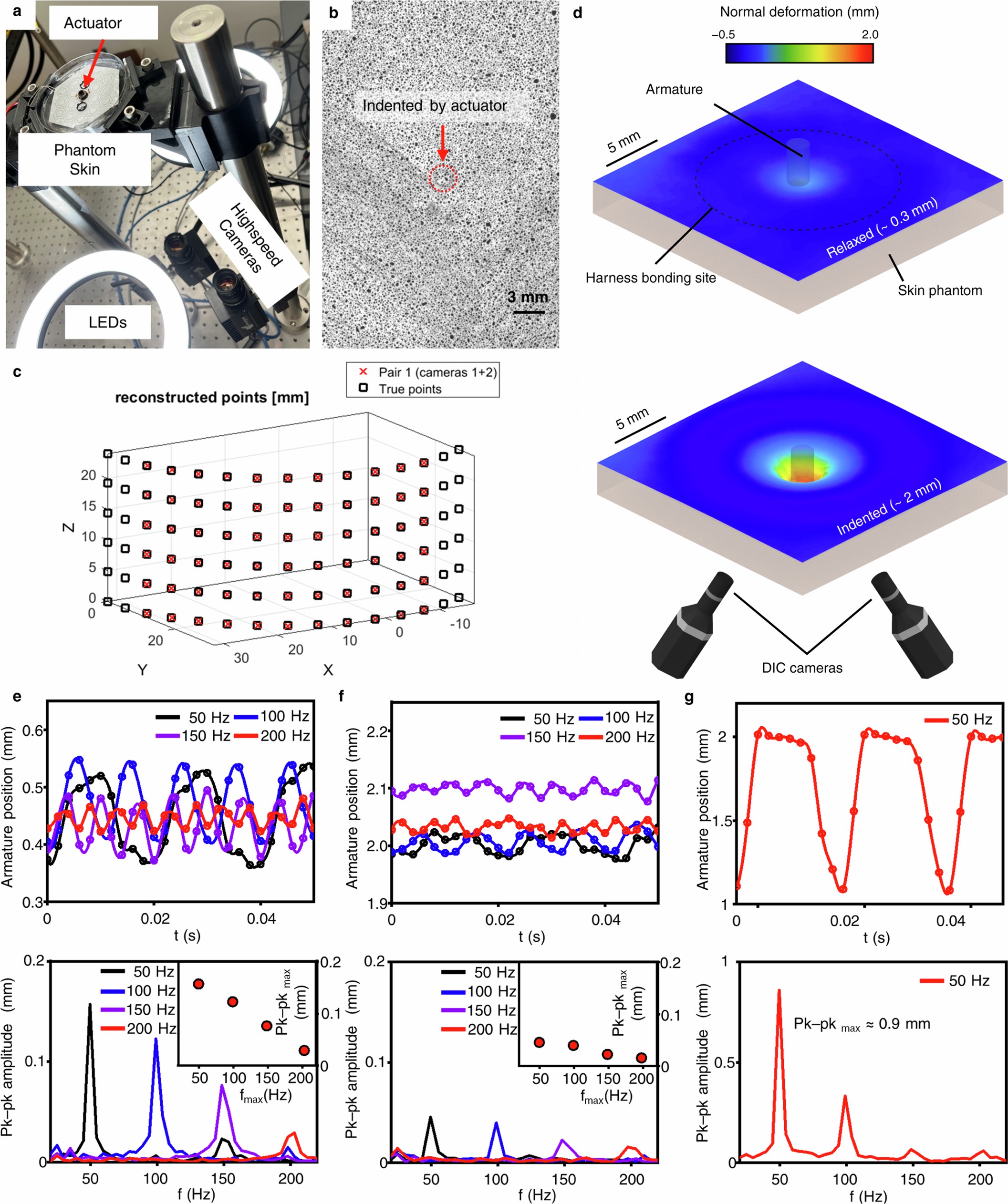 Extended Data Fig. 5: 3D DIC evaluation of vibrotactile deformation.
