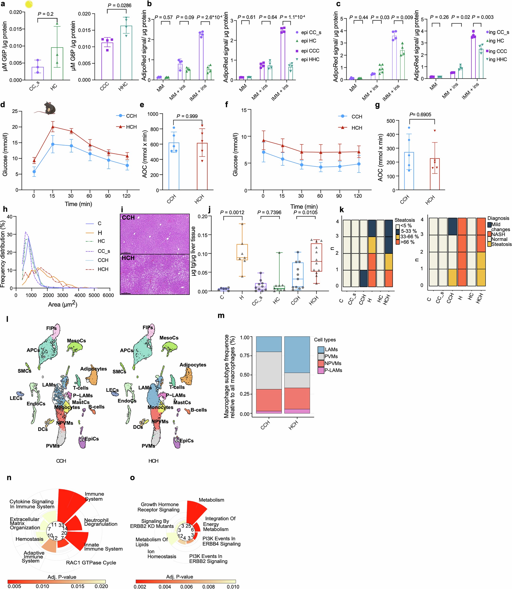 Extended Data Fig. 10: Other responses of primed mice and cells to obesogenic stimuli.