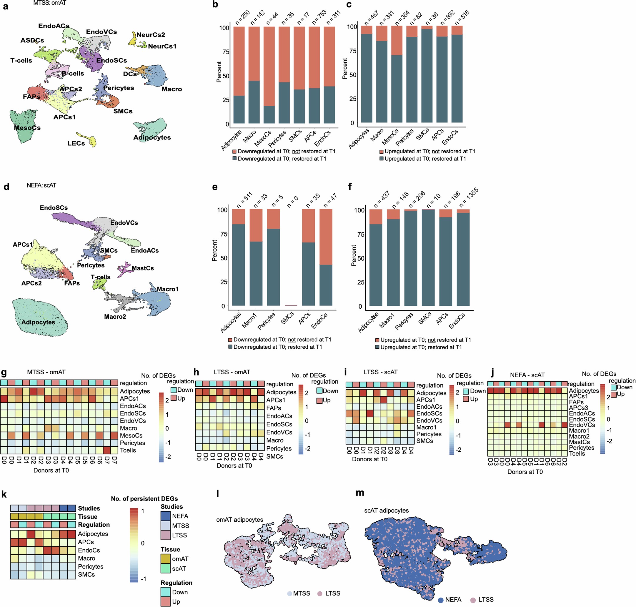 Extended Data Fig. 1: Human AT retains cellular transcriptional changes after bariatric surgery induced WL.