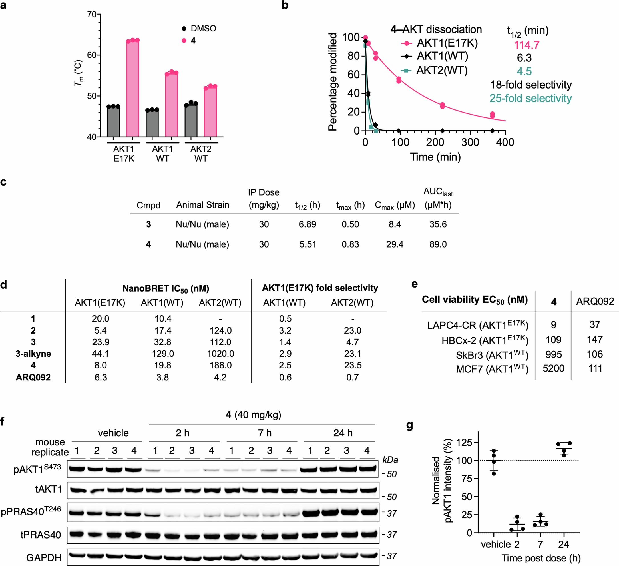 Extended Data Fig. 6: In vitro and in vivo characterization of compound 4.
