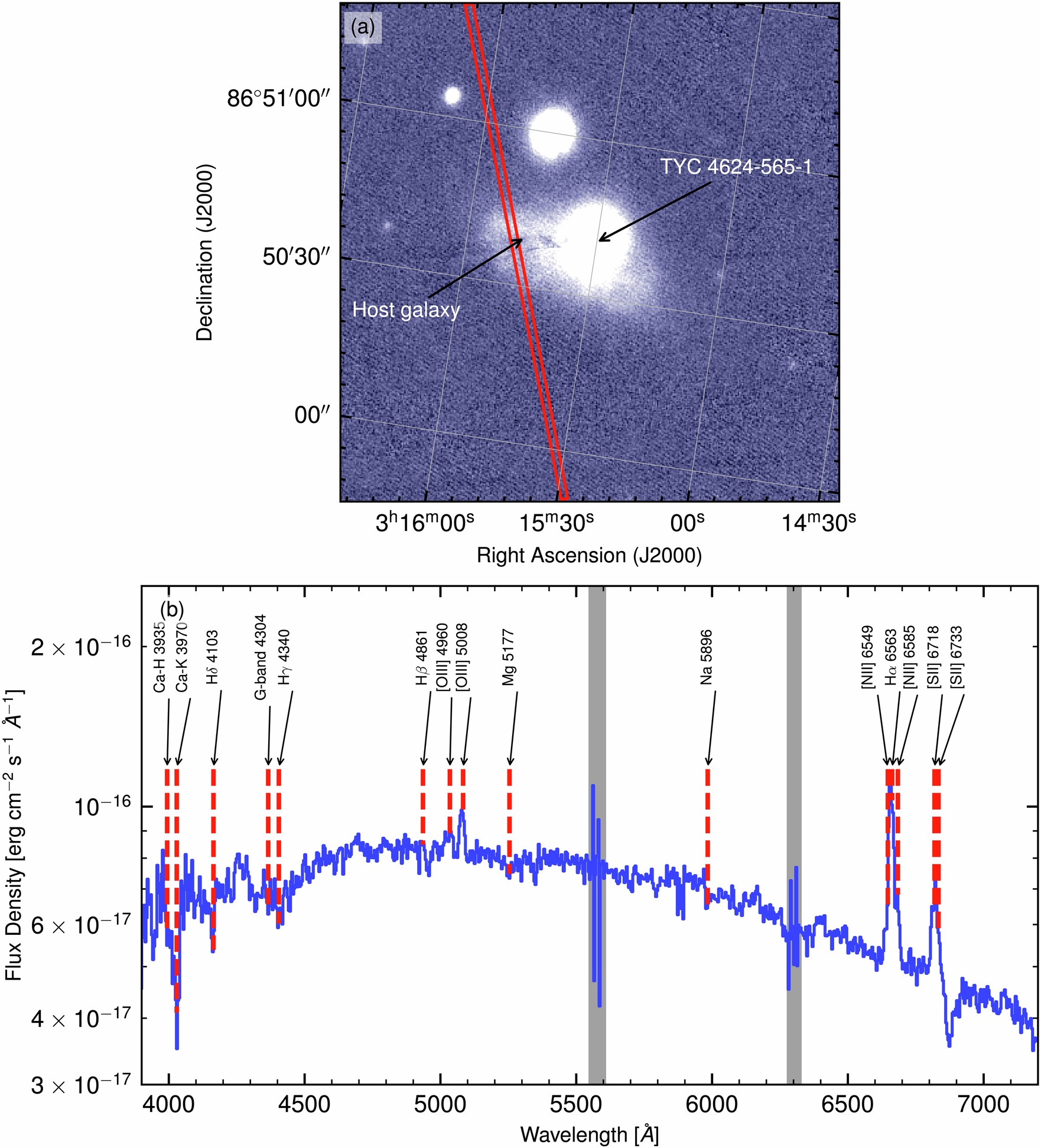 Extended Data Fig. 2: Spectrosopic measurements of putative host galaxy MCG+14-02-011.