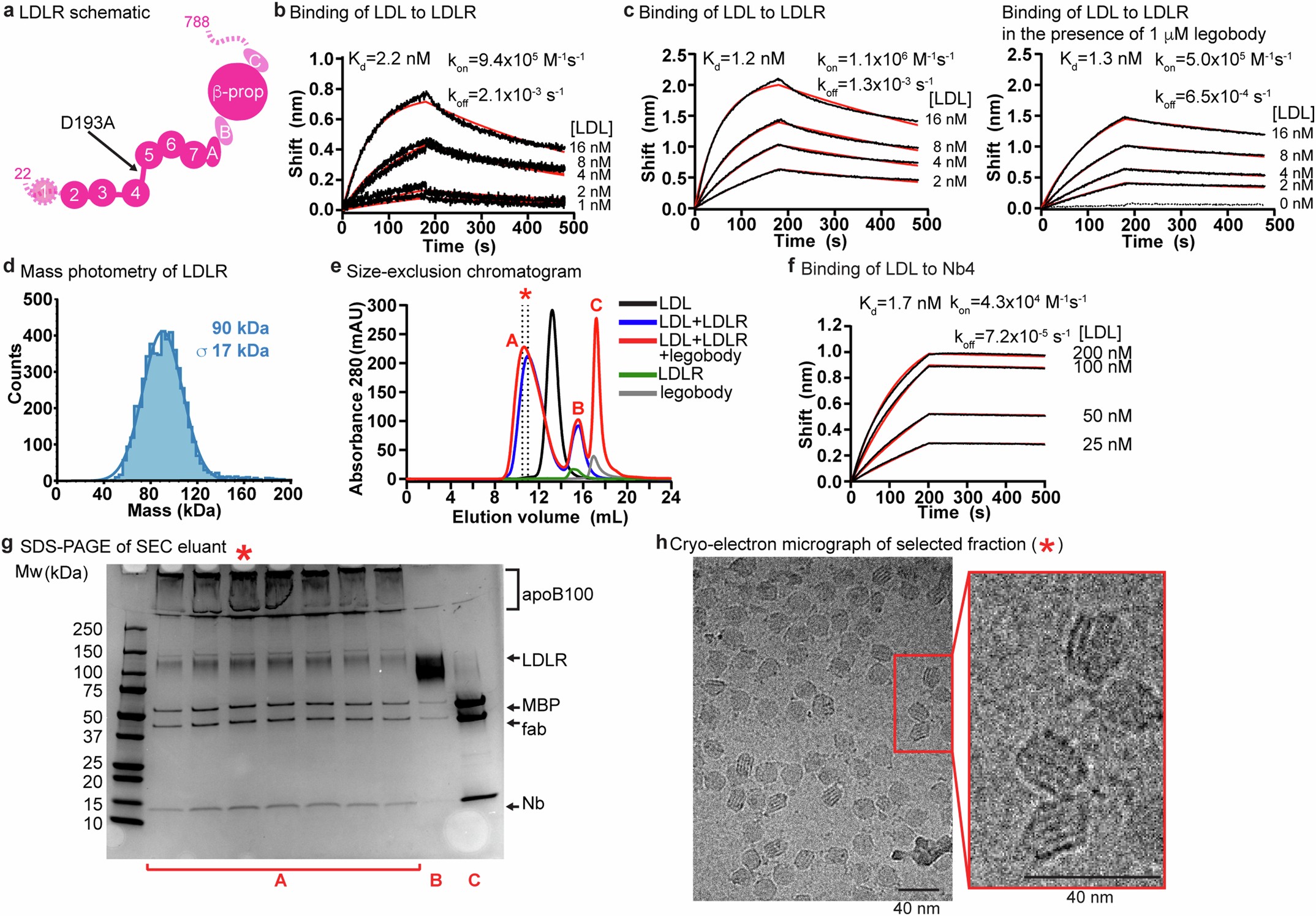 Extended Data Fig. 1