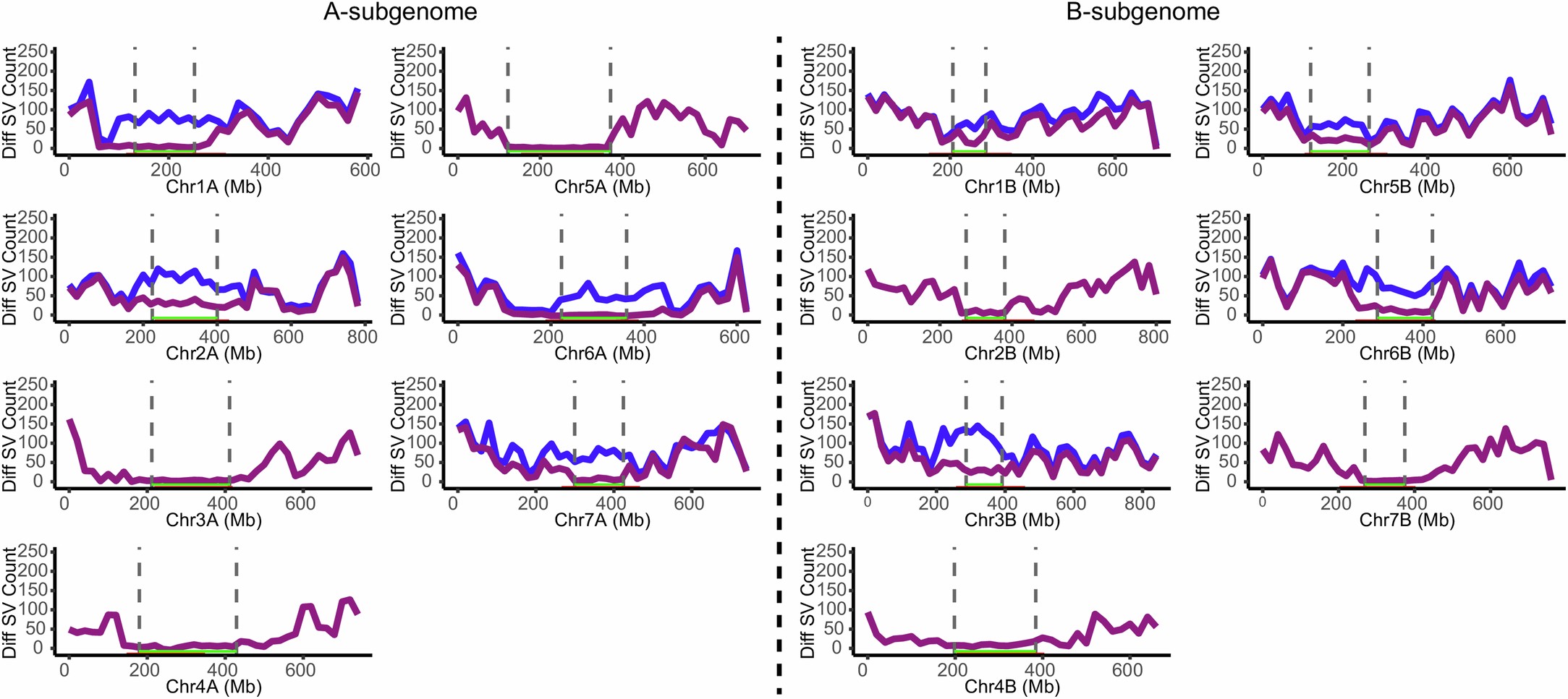 Extended Data Fig. 7: Partition of and distribution of SVs at regions proximal to centromeres on chromosomes in A- and B-subgenomes.