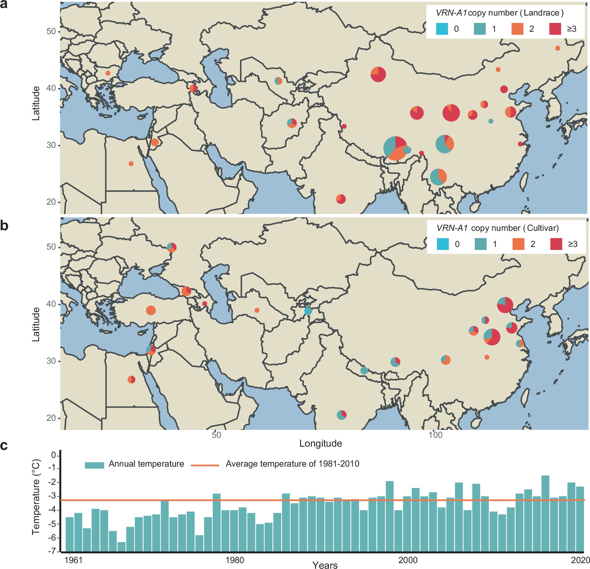 Extended Data Fig. 8: CNVs in the re-sequenced database of wheat and its tetraploid ancestors indicated VRN-A1 gene experienced strong selection in wheat origin, spread and breeding in reaction to the environments.