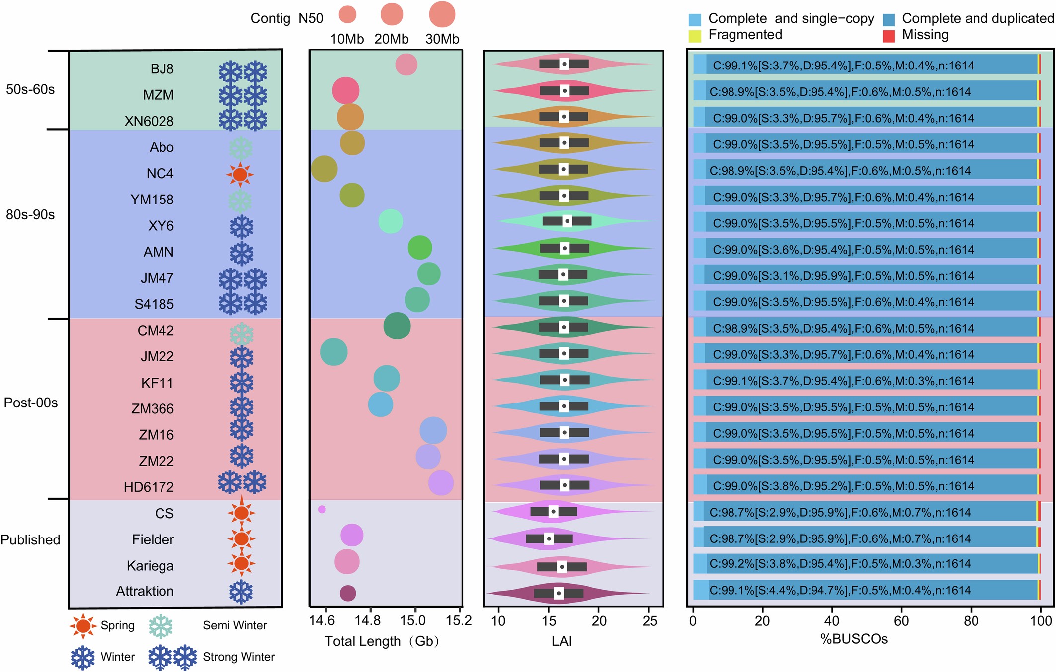 Extended Data Fig. 2: An overview of the 21 wheat genomes.