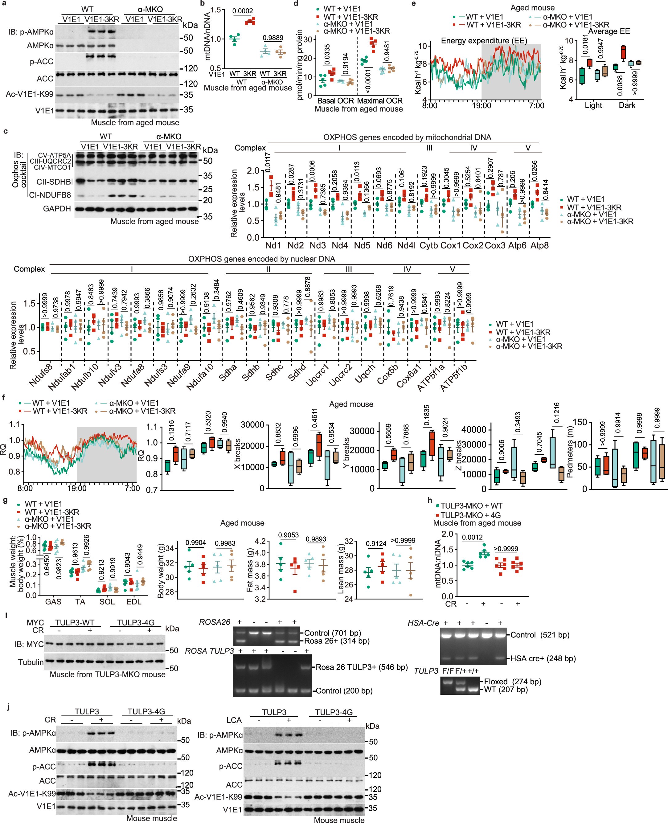 Extended Data Fig. 12
