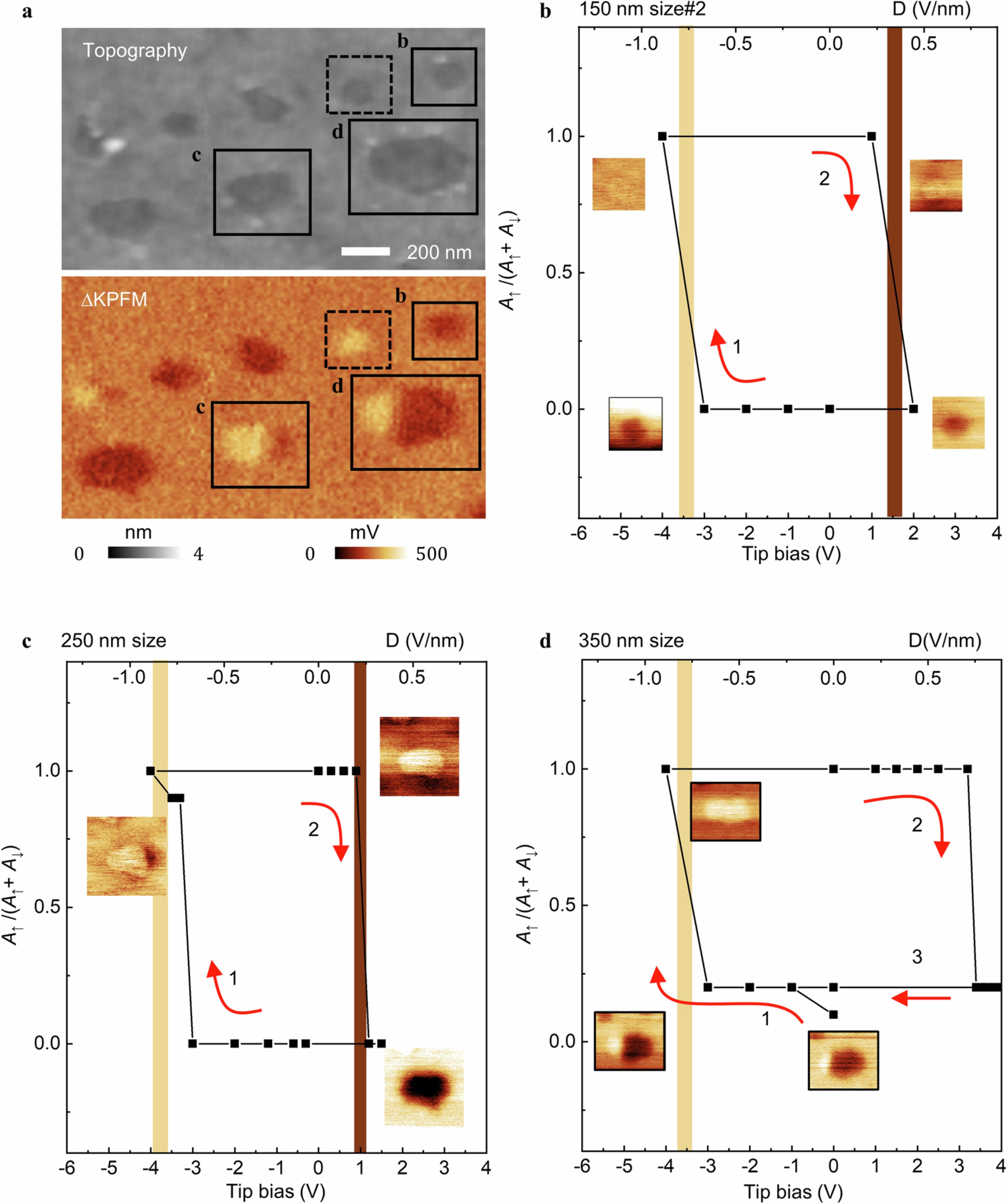 Extended Data Fig. 4: Further ferroelectric hysteresis measurements (device 2).