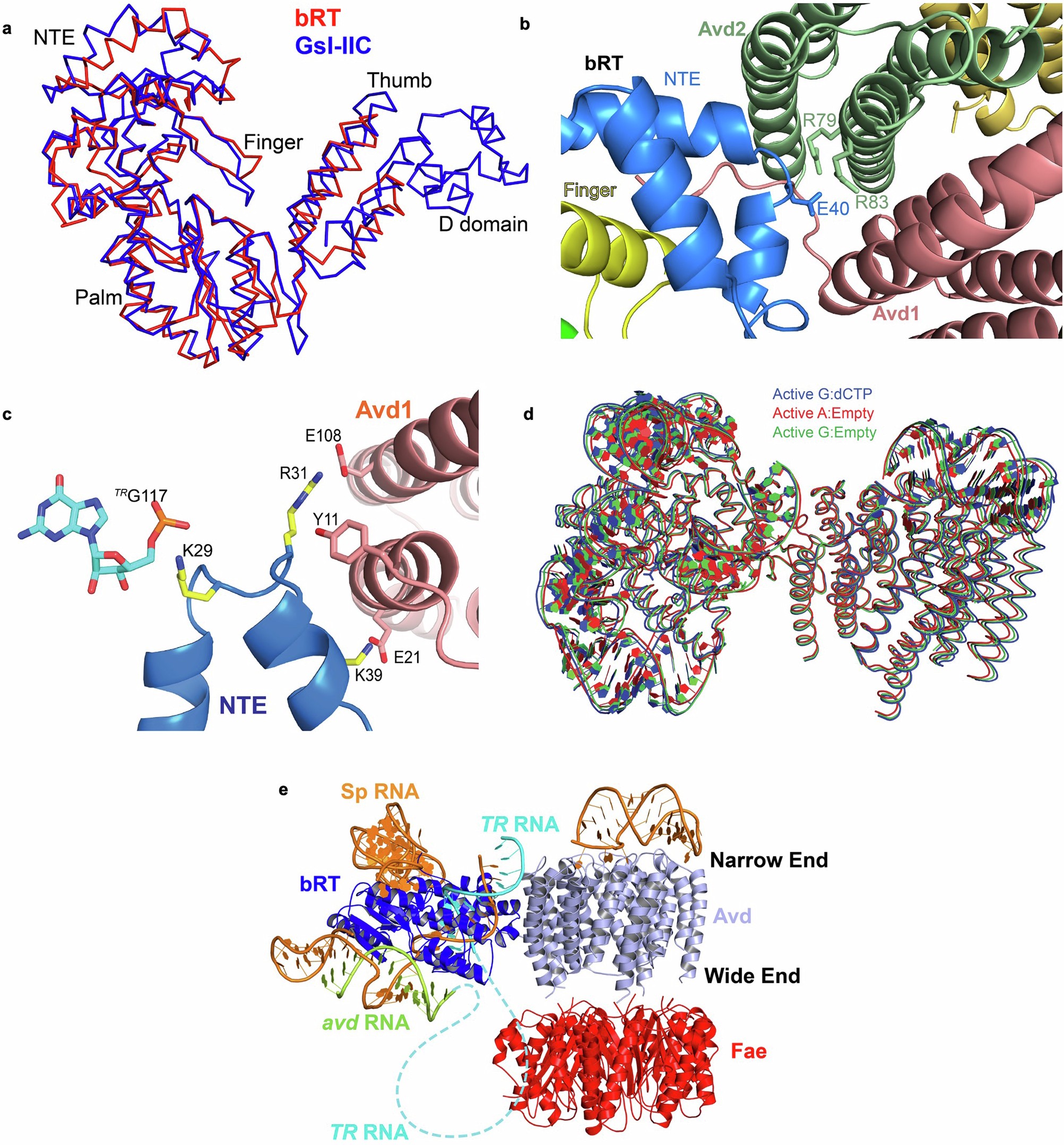 Extended Data Fig. 2
