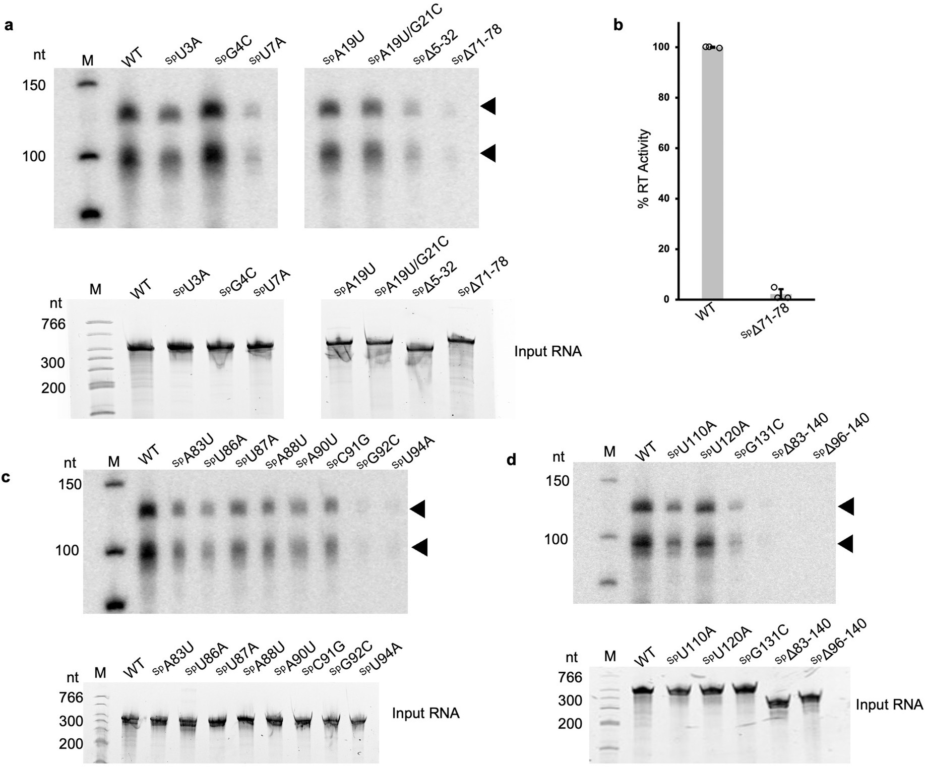 Extended Data Fig. 4