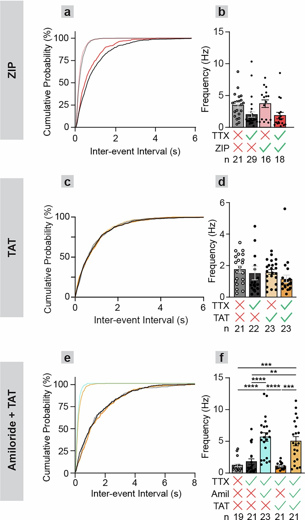 Extended Data Fig. 5: Effects of ZIP, TAT, and amiloride on EPSC frequency in primary cultured neurons.