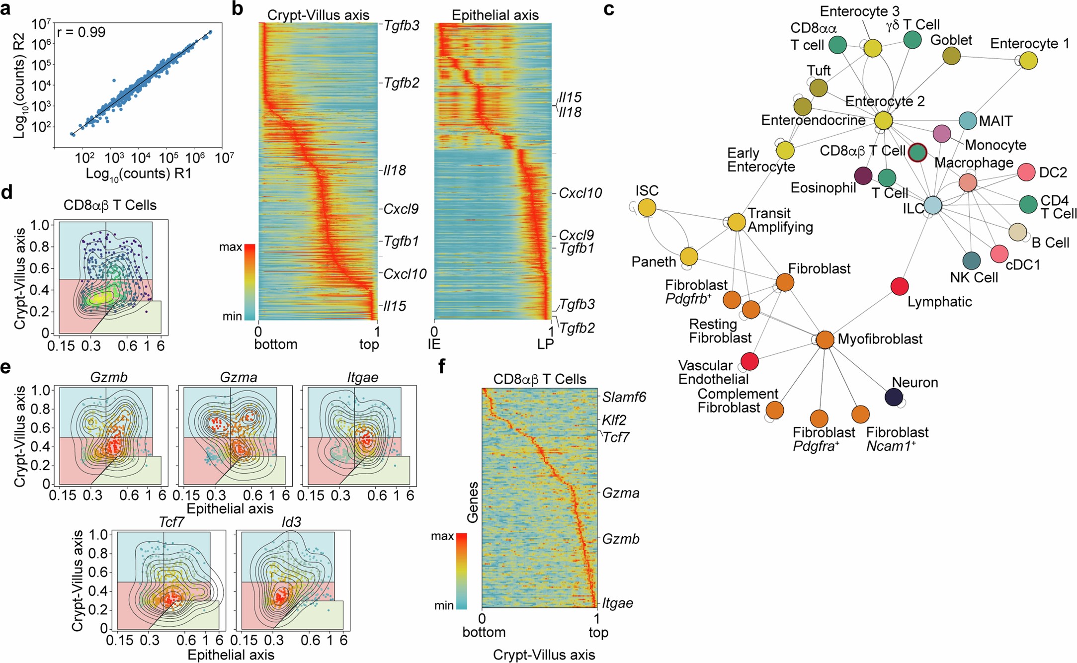 Extended Data Fig. 5: Related to Fig. 3. Spatial immune landscapes of the healthy mouse small intestine.