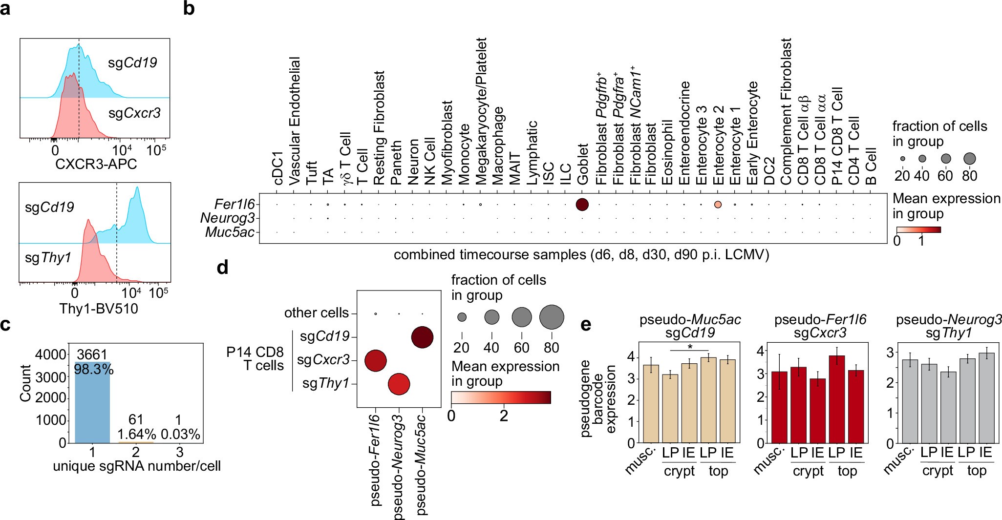 Extended Data Fig. 8: Related to Fig. 4. Optical readout of sgRNA-containing antigen-specific CD8 T cells in the mouse intestine integrated in the Xenium assay.
