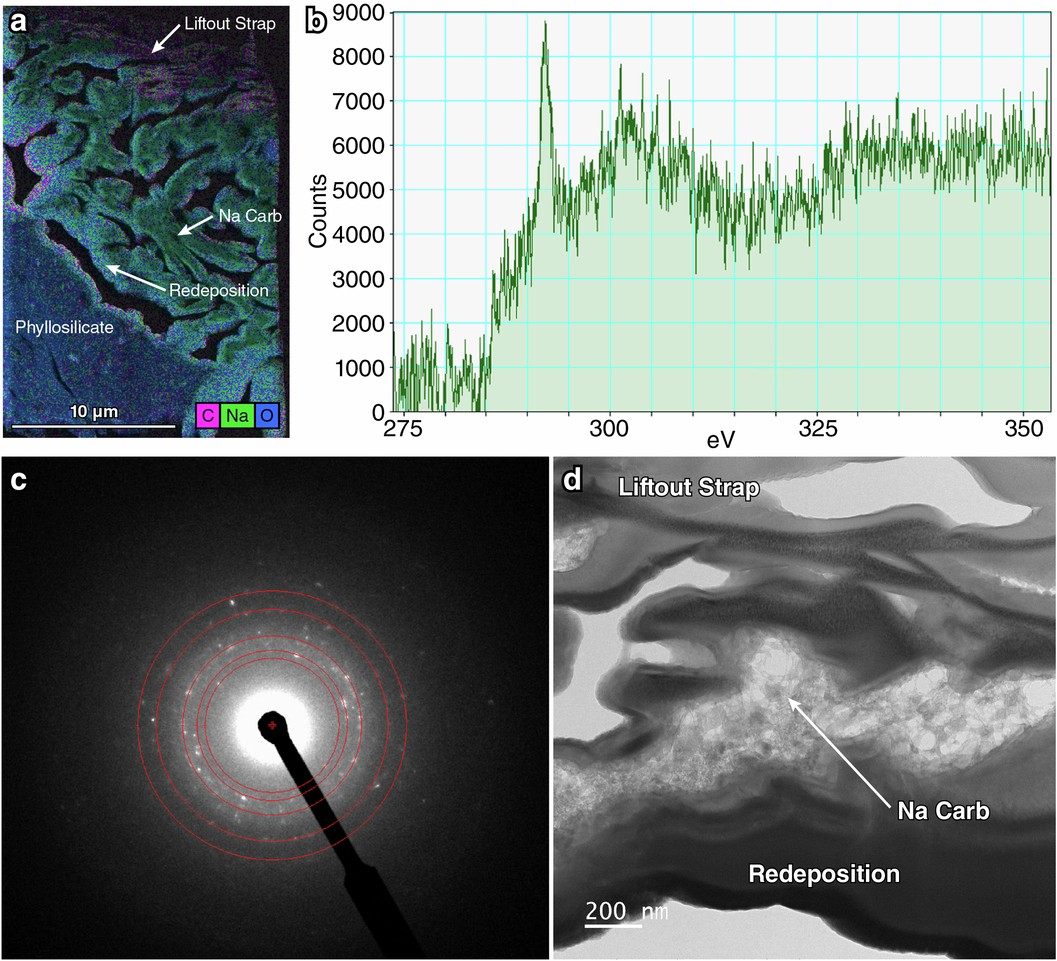 Extended Data Fig. 6